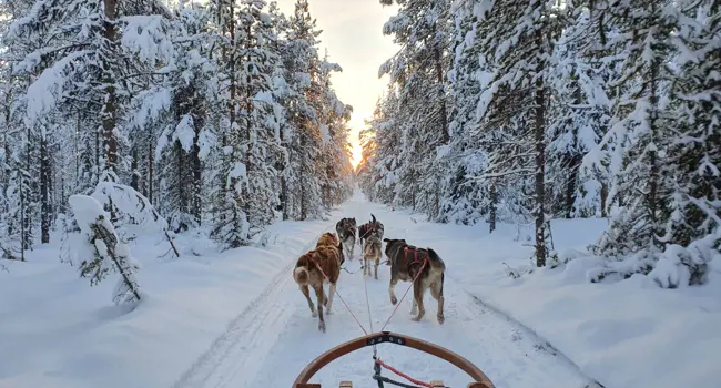 Unieke winterse beleving in Zweeds Lapland