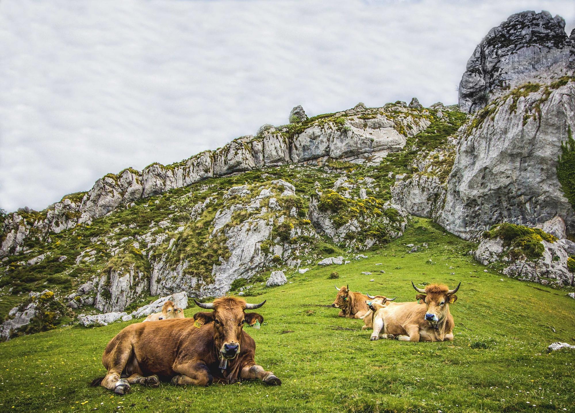 Grandioos groen Spanje