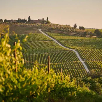 Ontroerend mooi Toscane