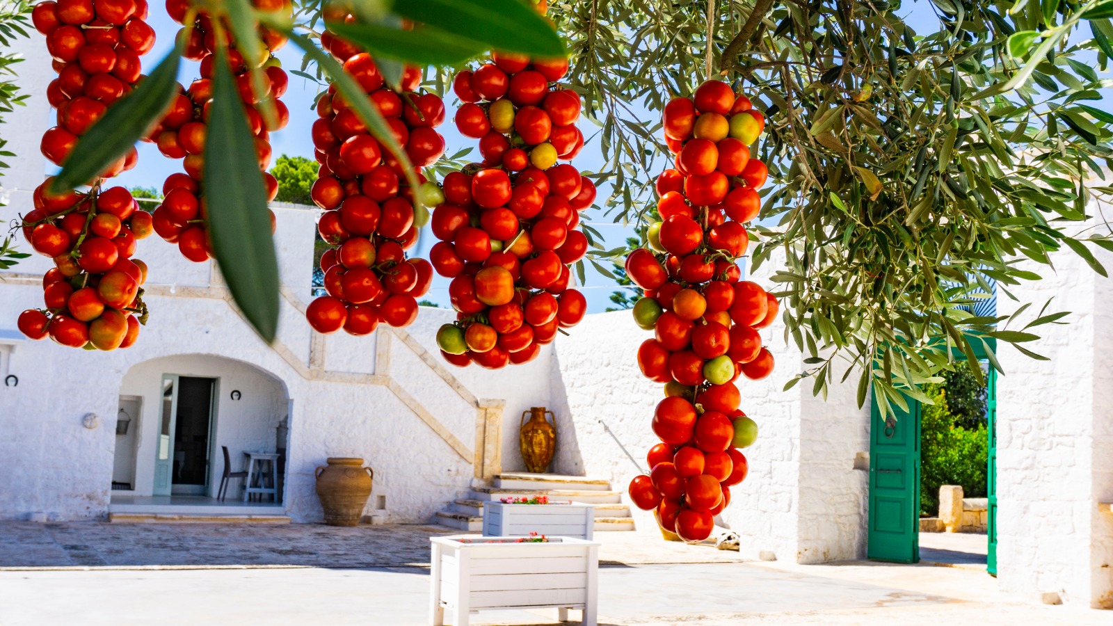 masseria ayroldi 12