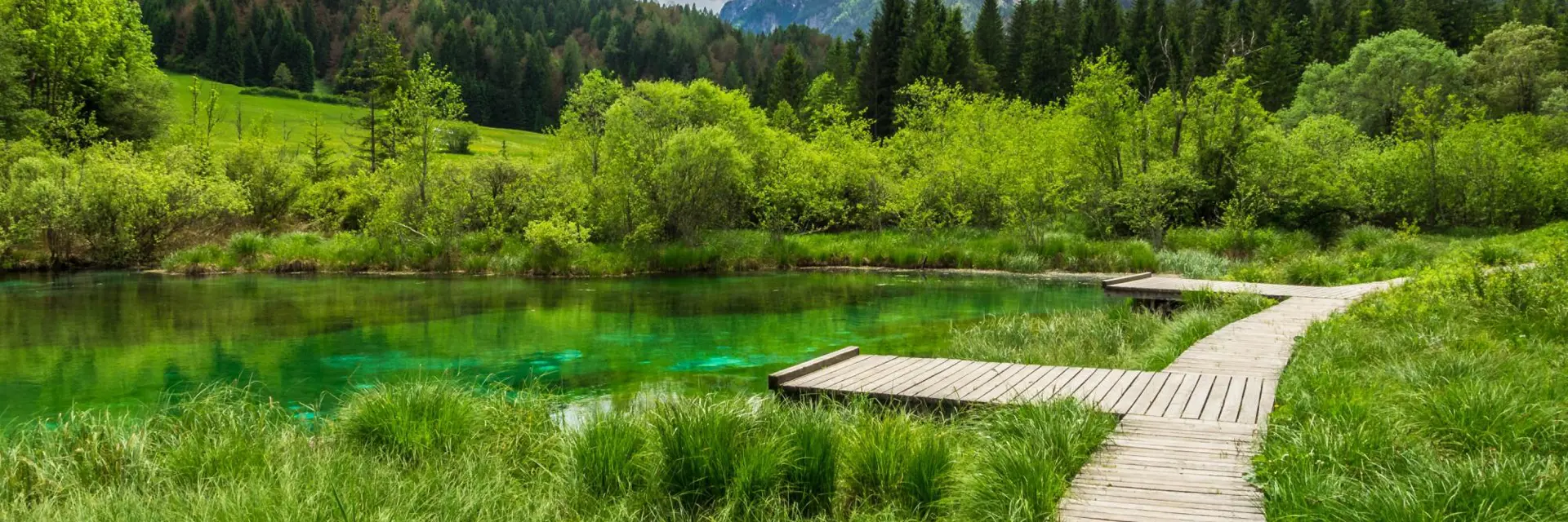 Slovenië