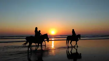 paardrijden op het strand in portugal