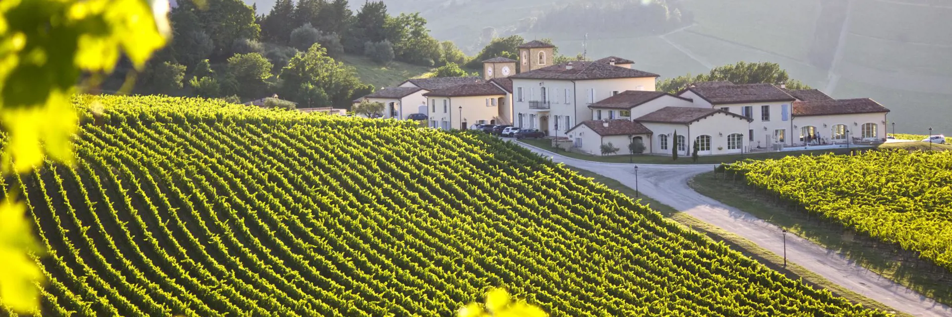 borgo conde wine resort ligging