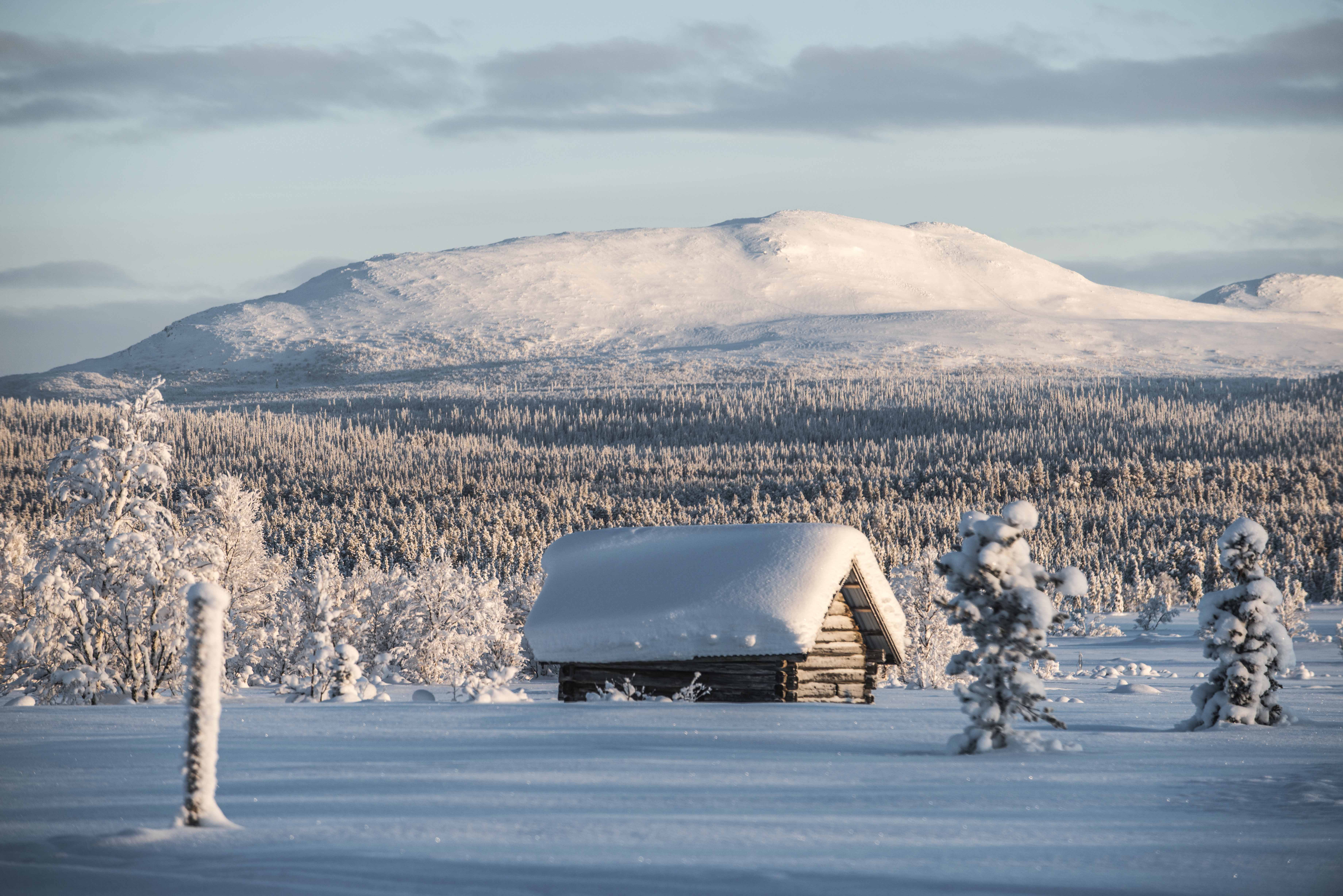 serr0001 zweeds lapland 24