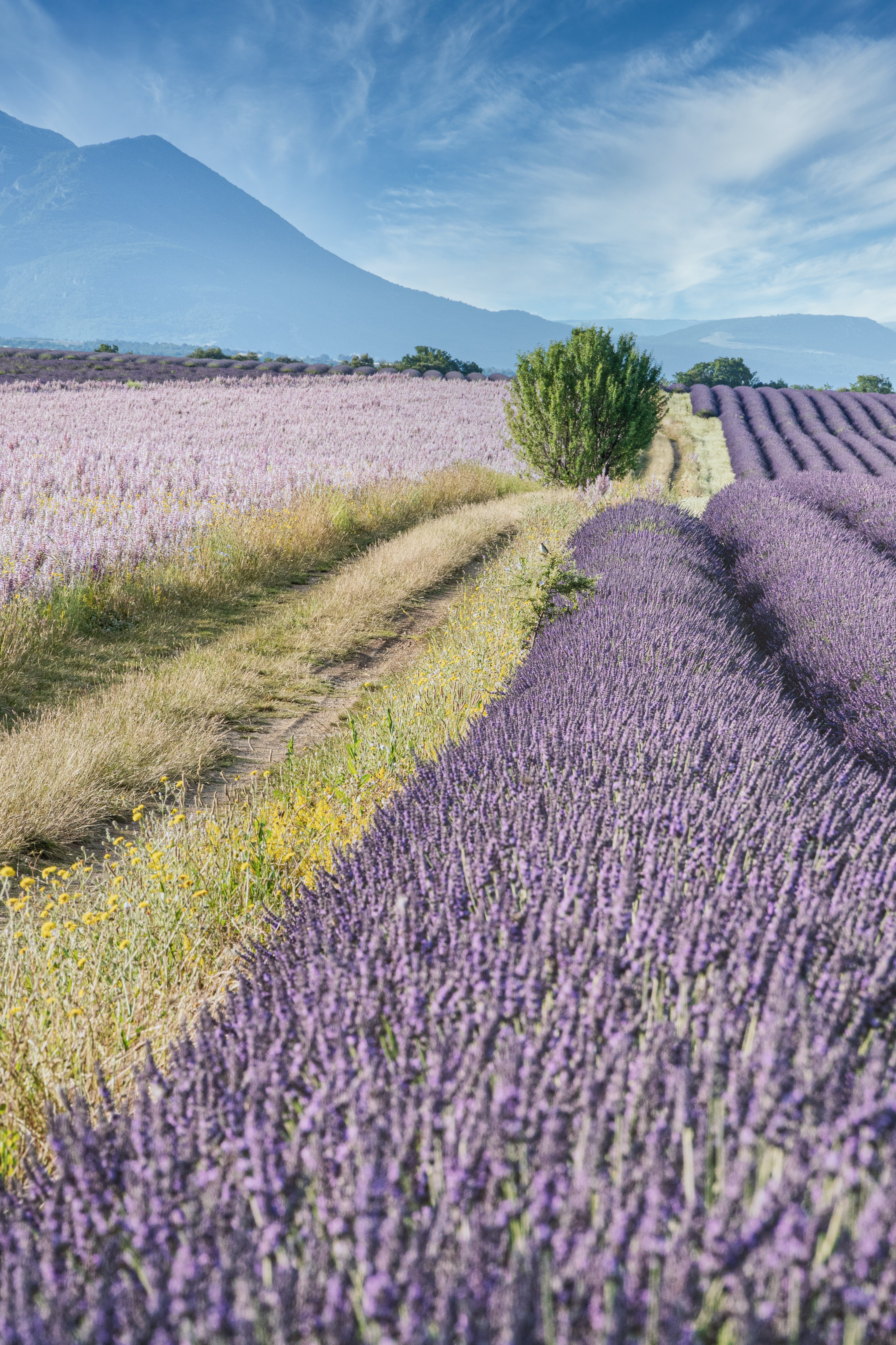 pg 71 buitengewoon provencaals