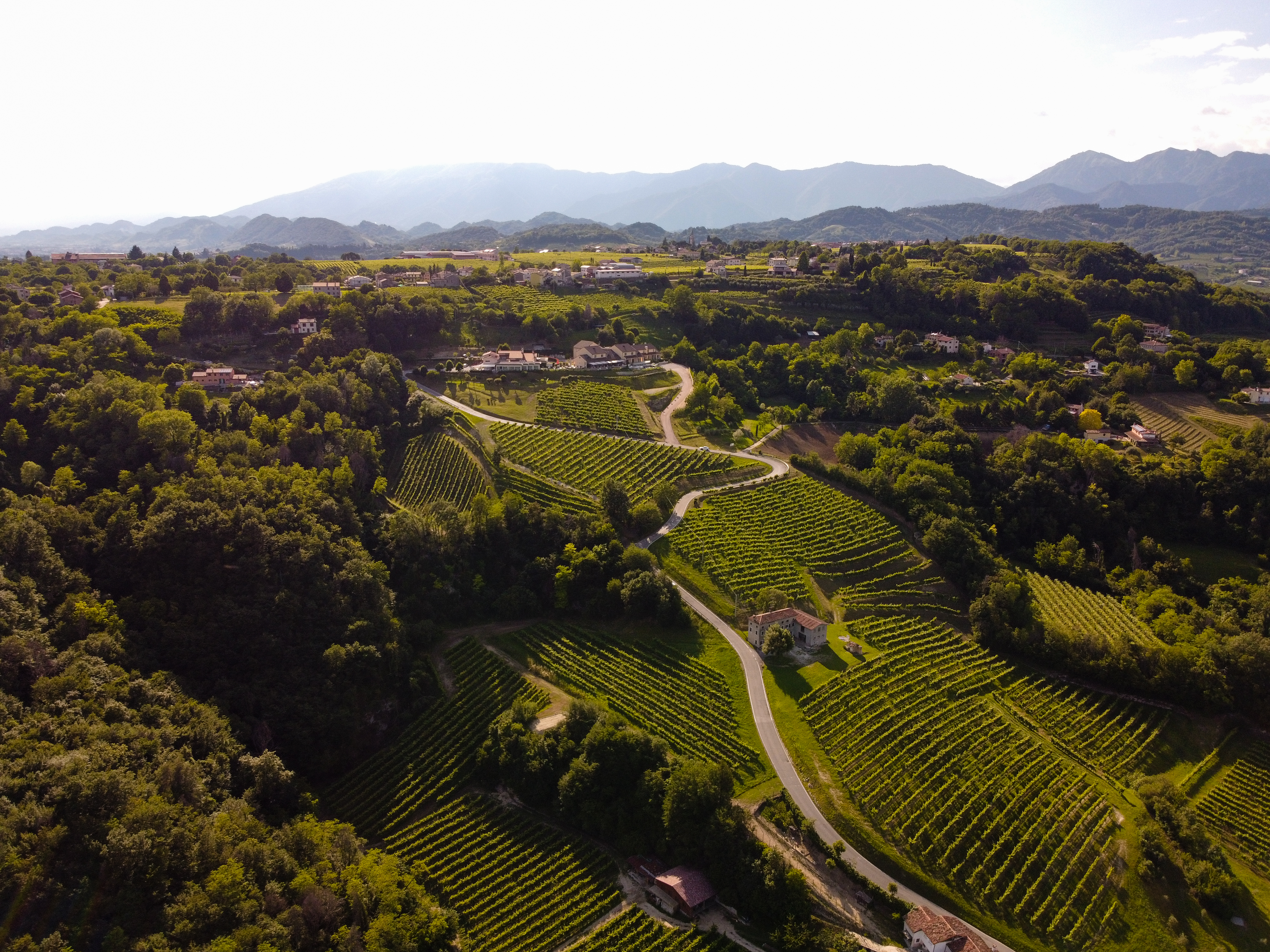 prosecco streek italie zomer