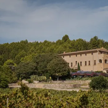 Designhotel Son Brull