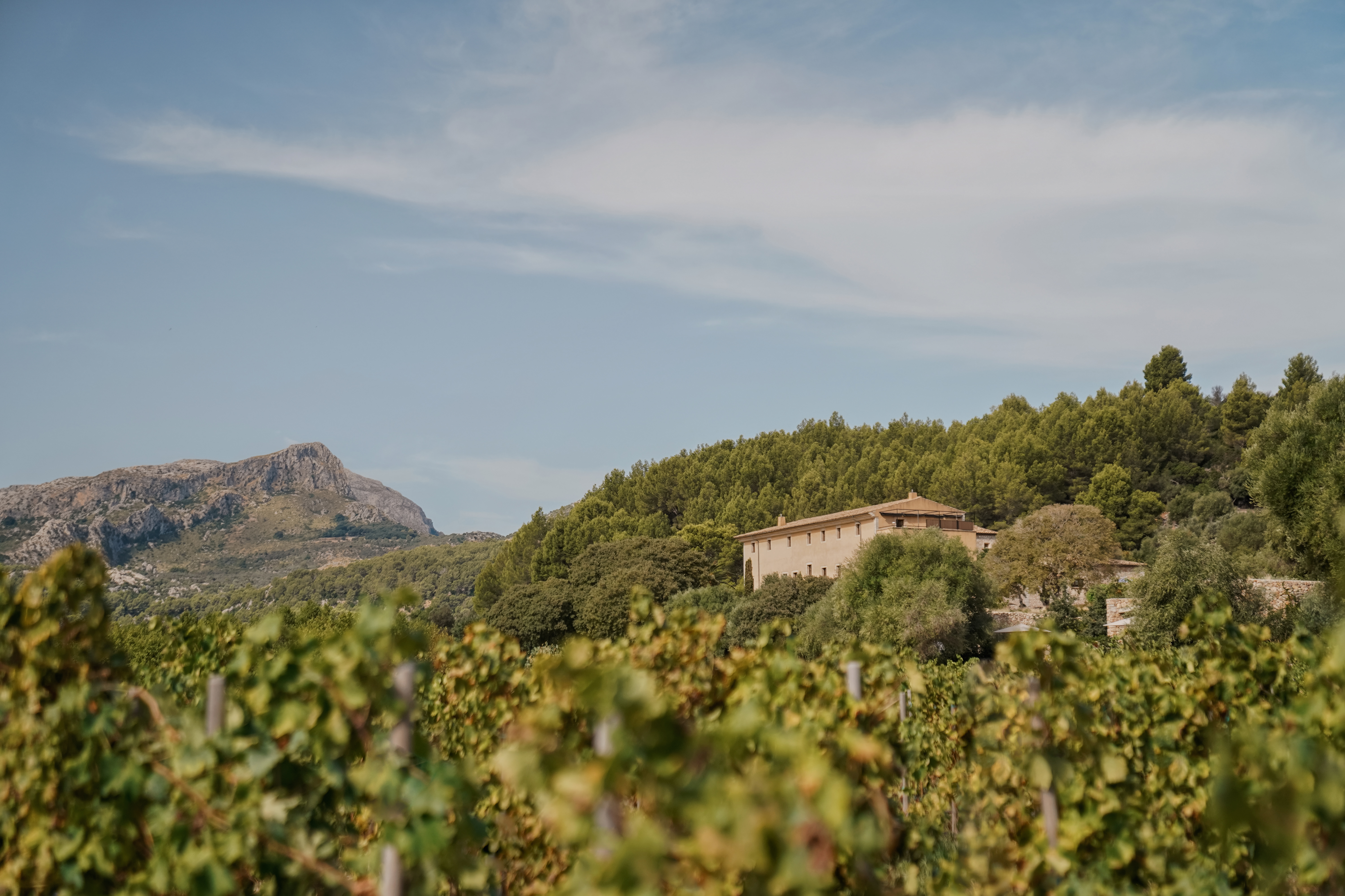 son brull presentacio 01