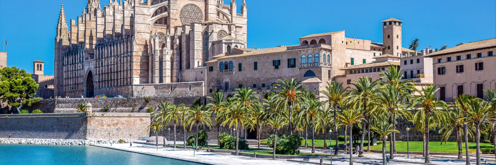 0 buitengewoon palma