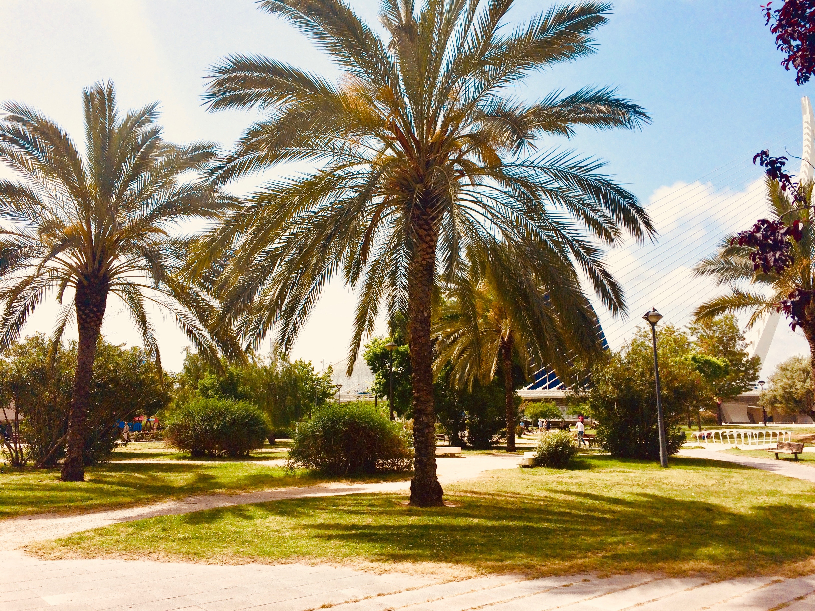 turia park valencia