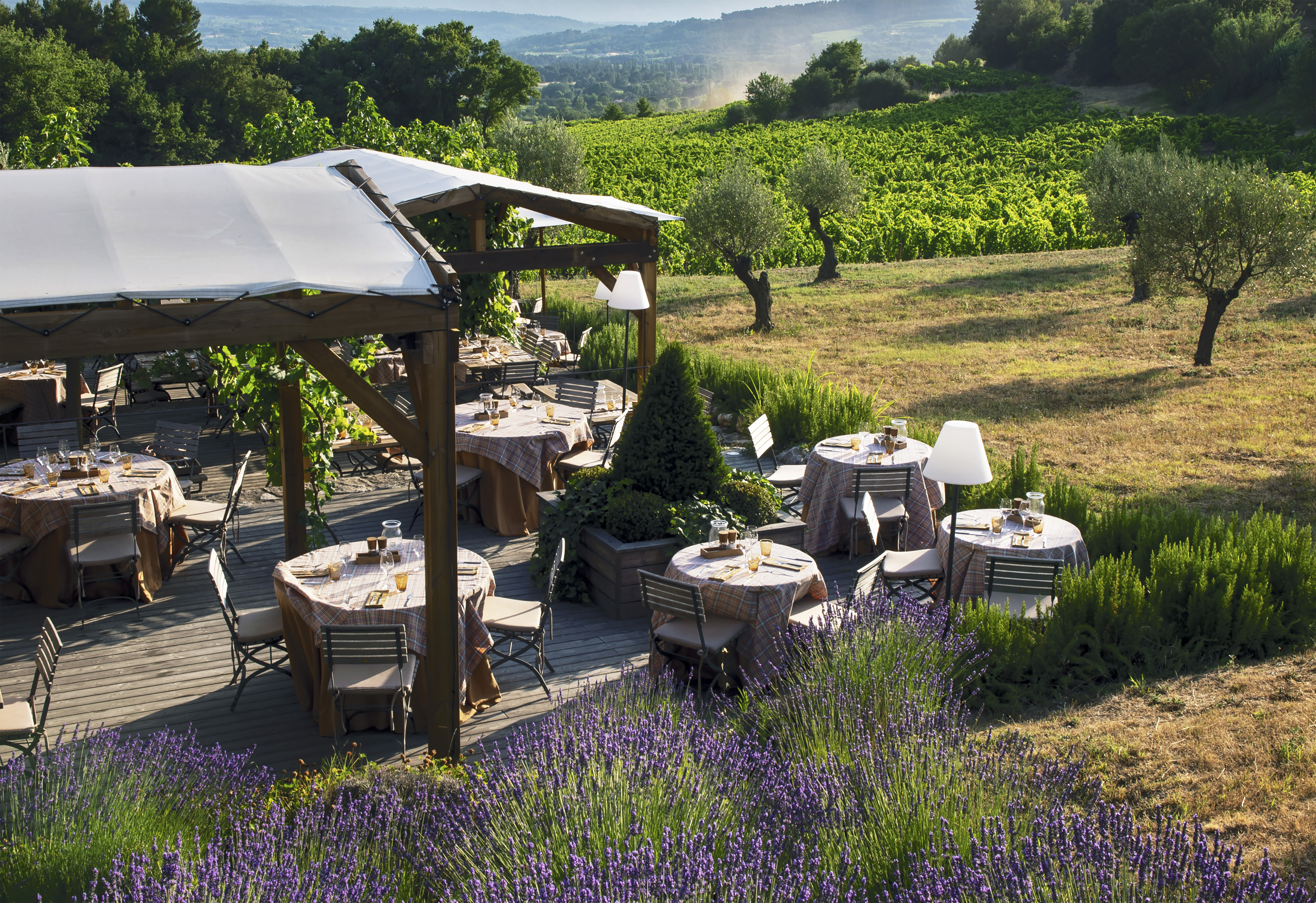 jardin dans les vignes high