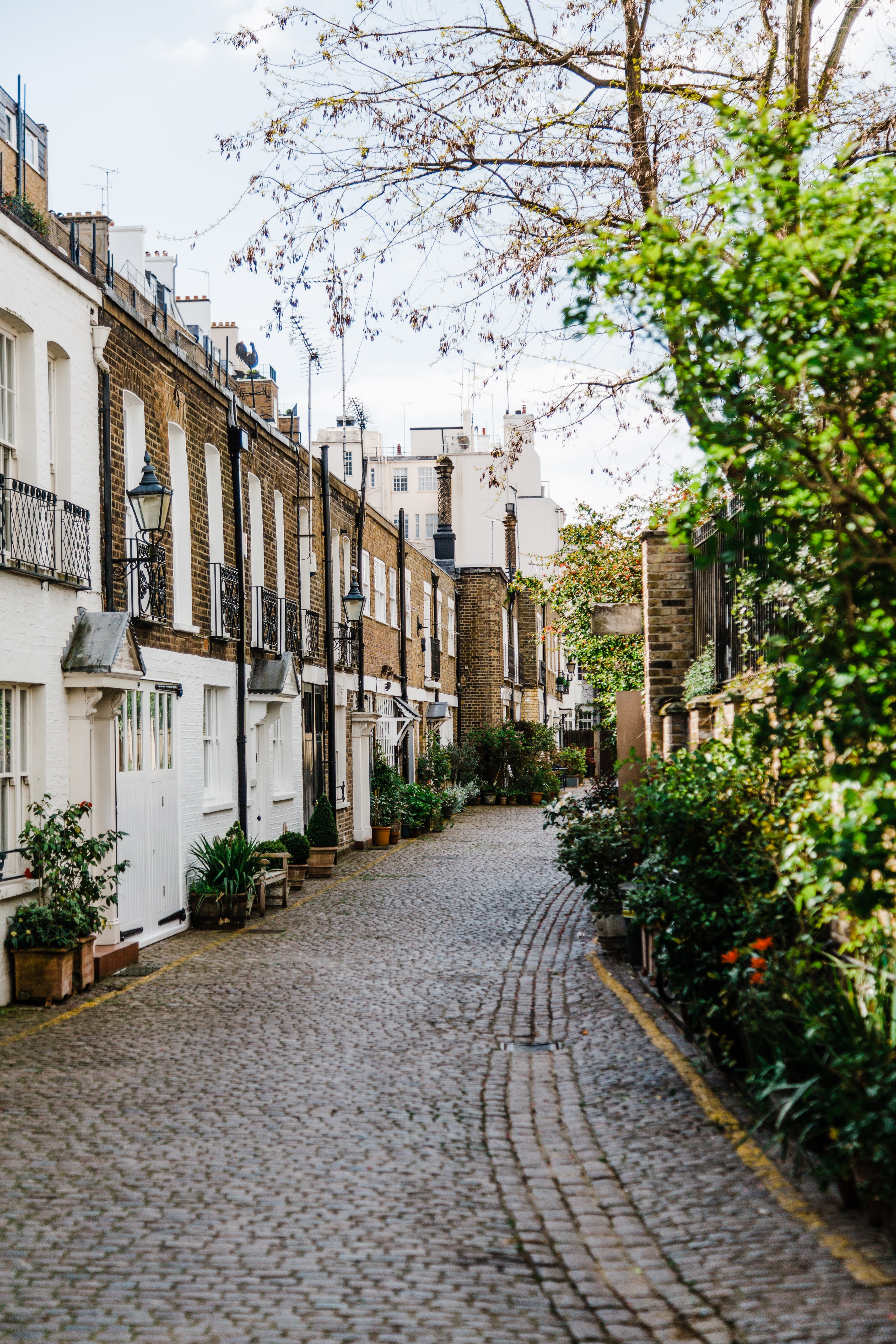 kynance mews londen