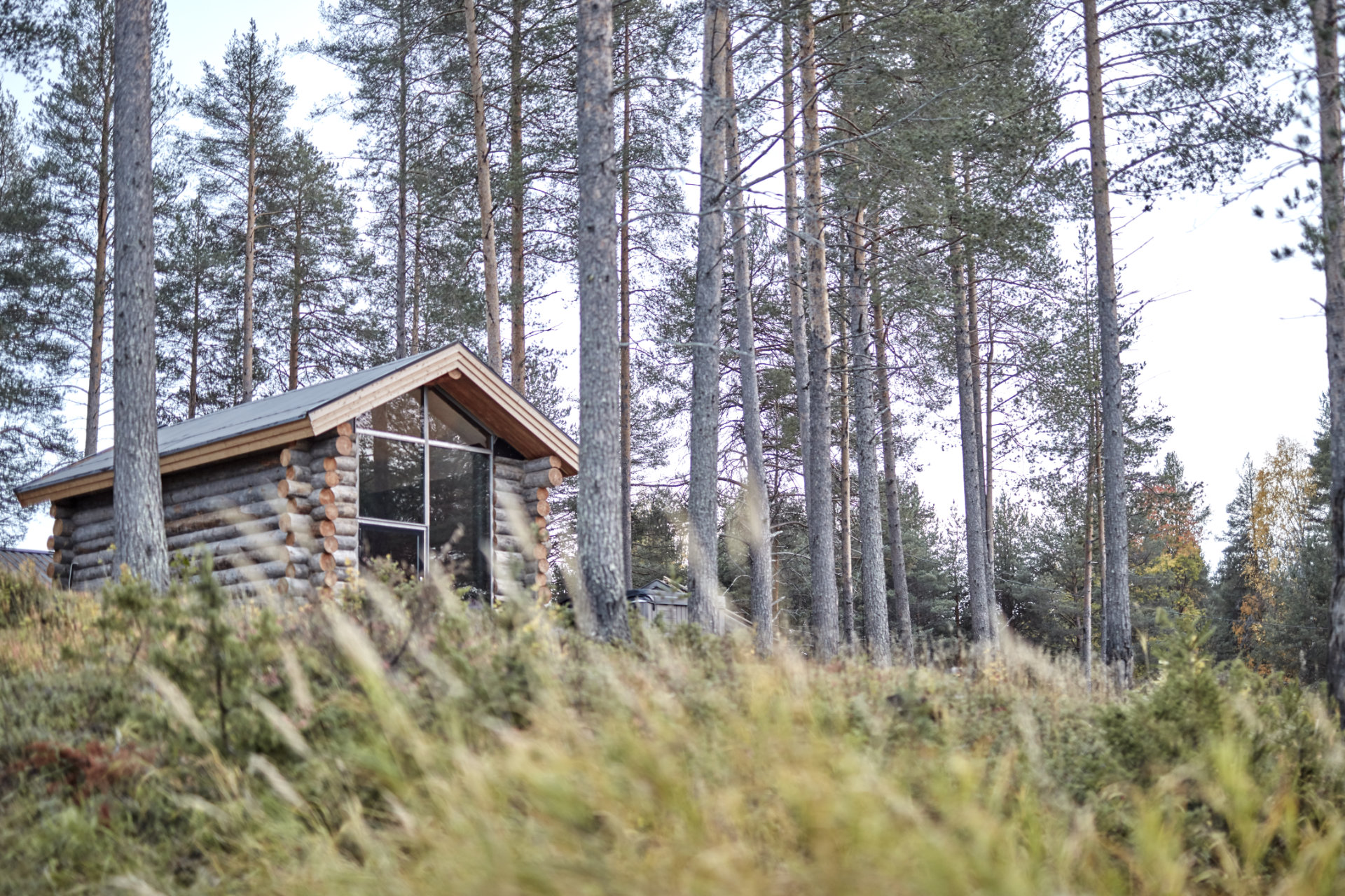 2 zomers zweeds lapland