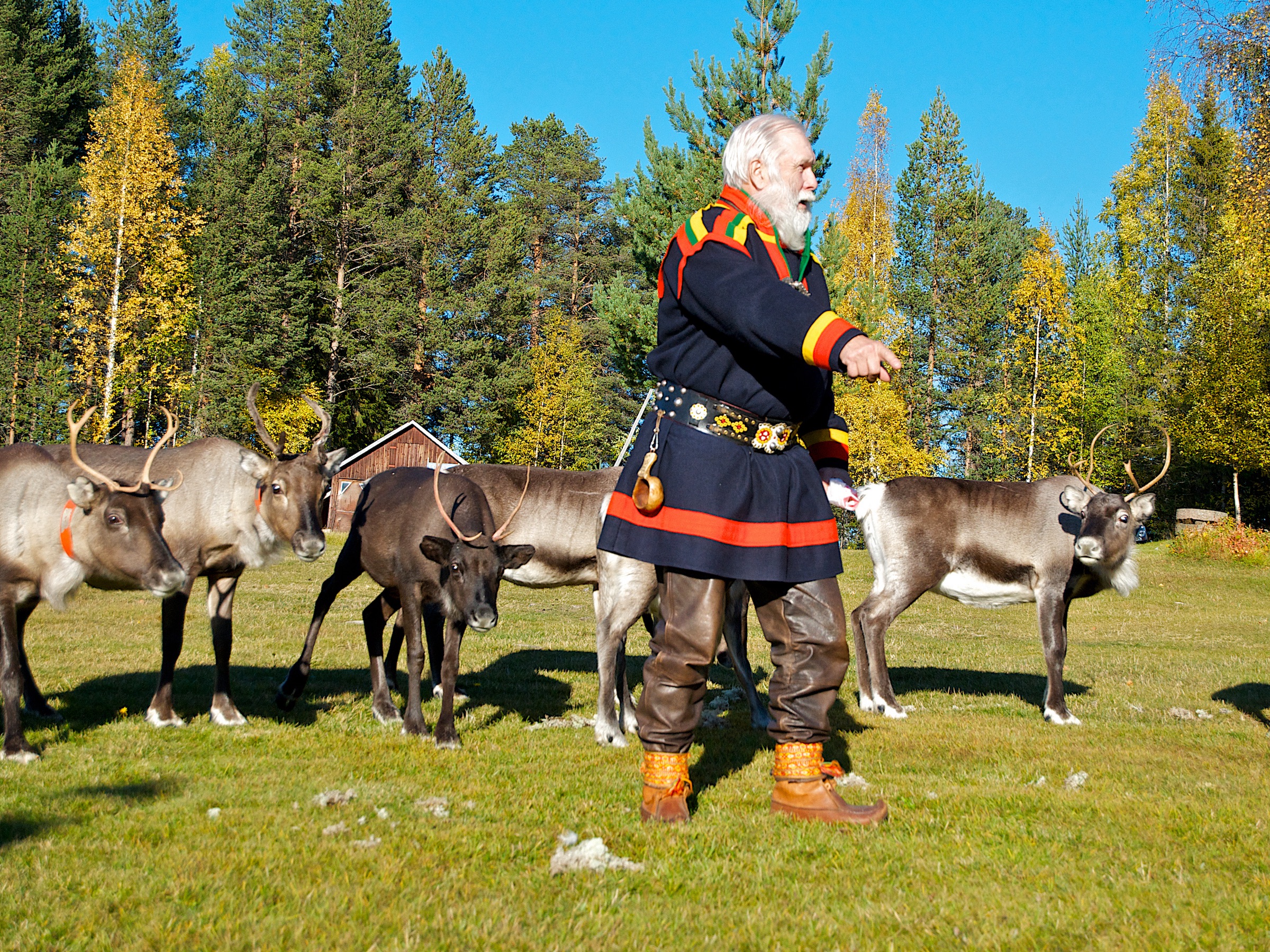 4 zomers zweeds lapland