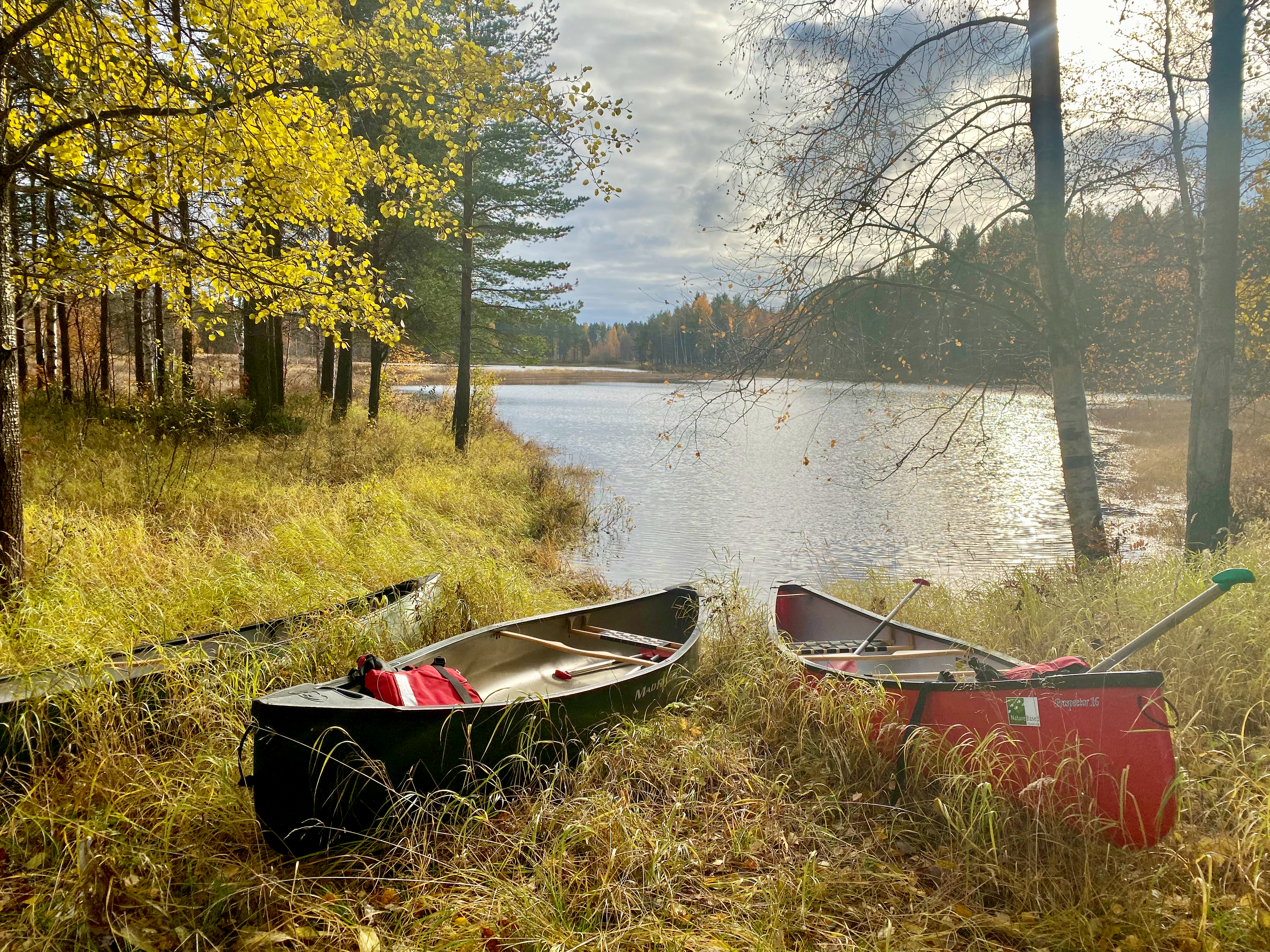6 zomers zweeds lapland