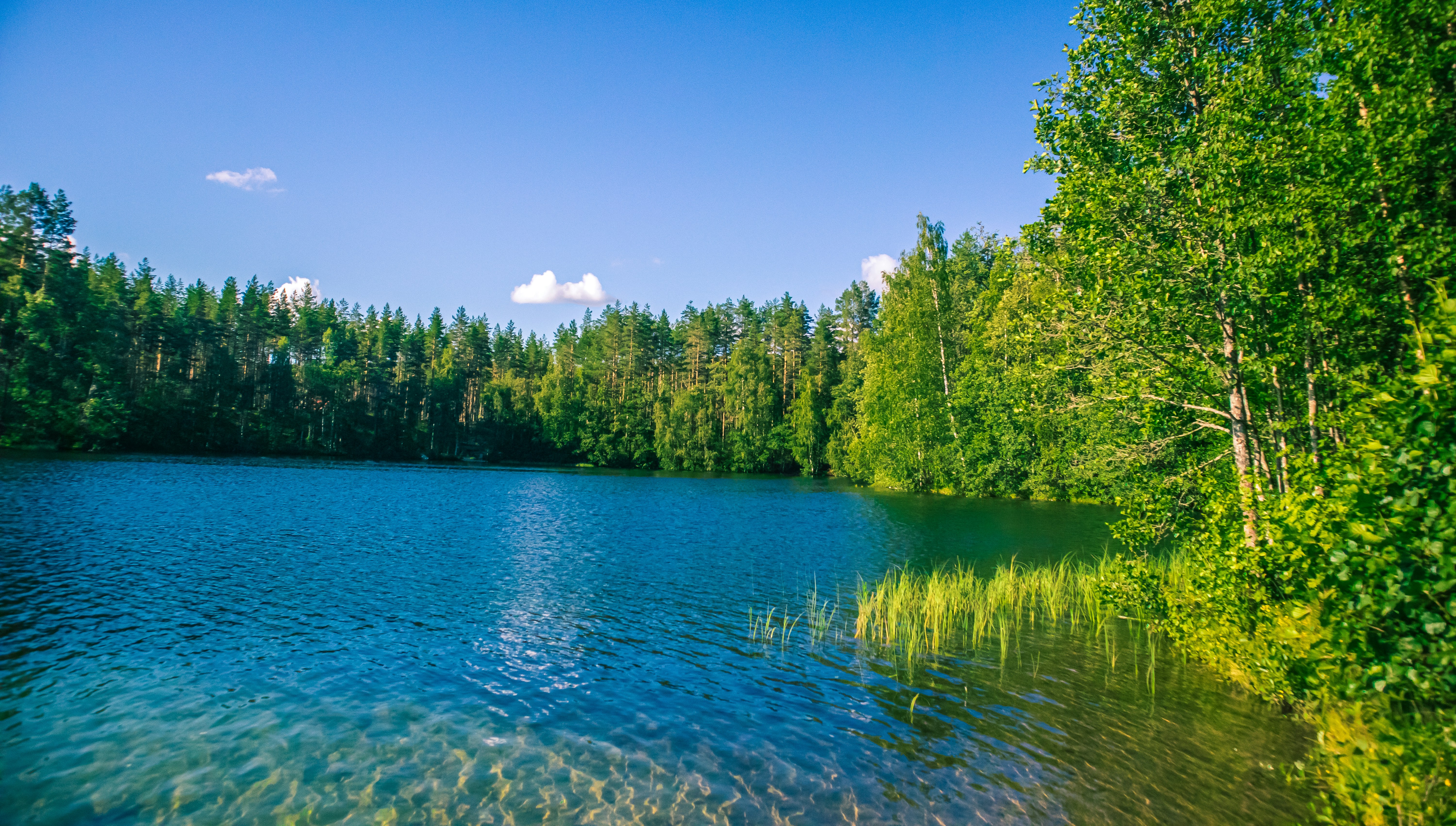 4 zomers fins lapland