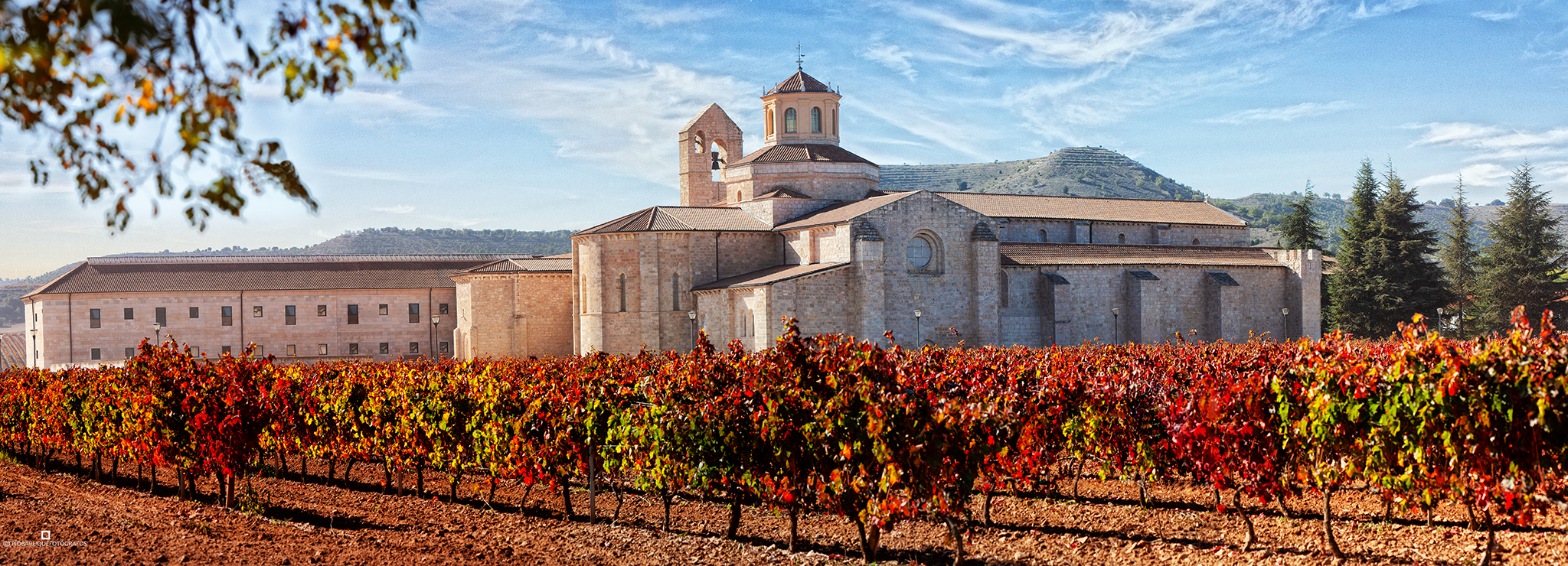 1 background valbuena vineyards