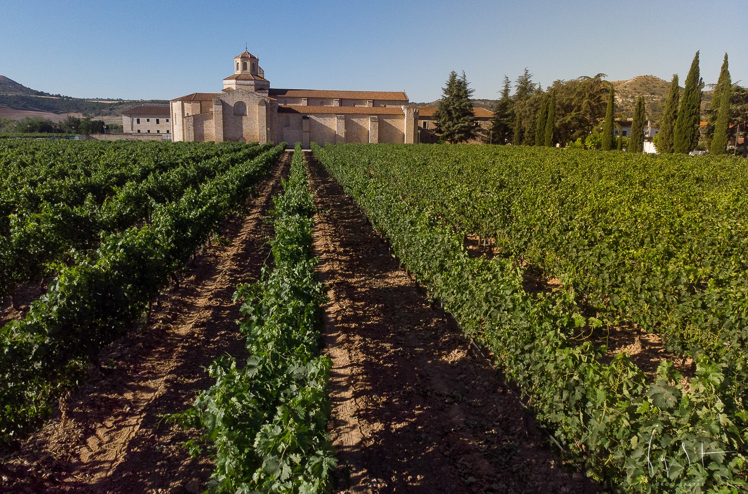 10 monastery vineyards