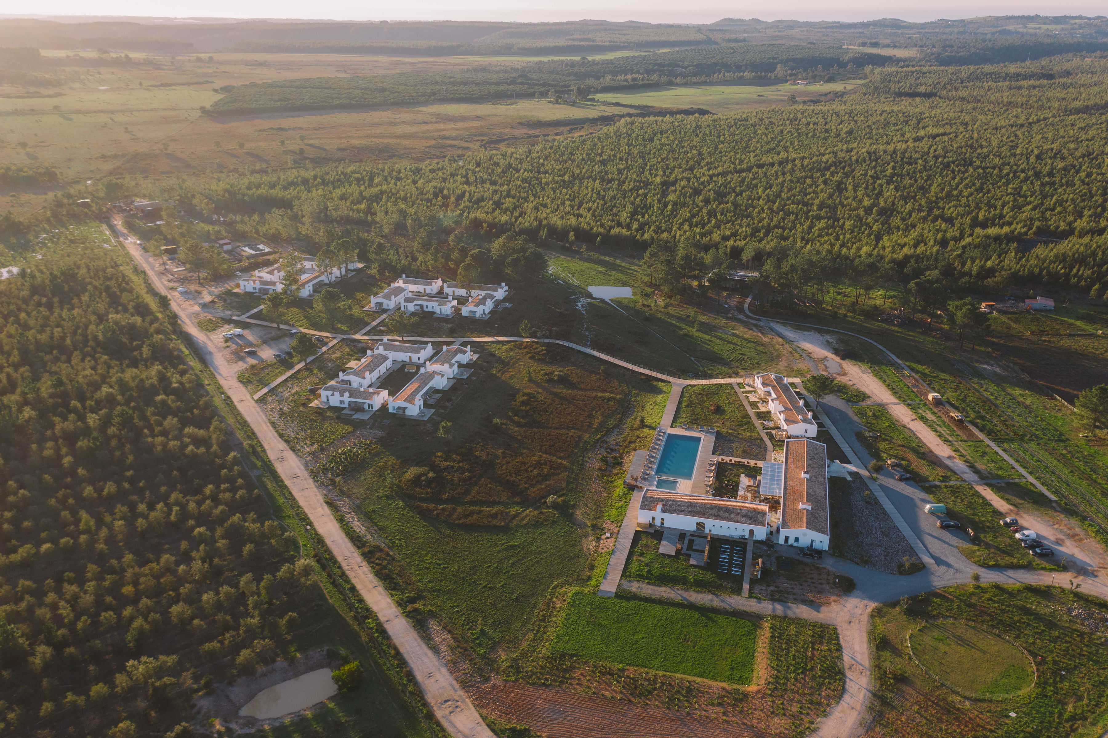 craveiral aerial aerea16