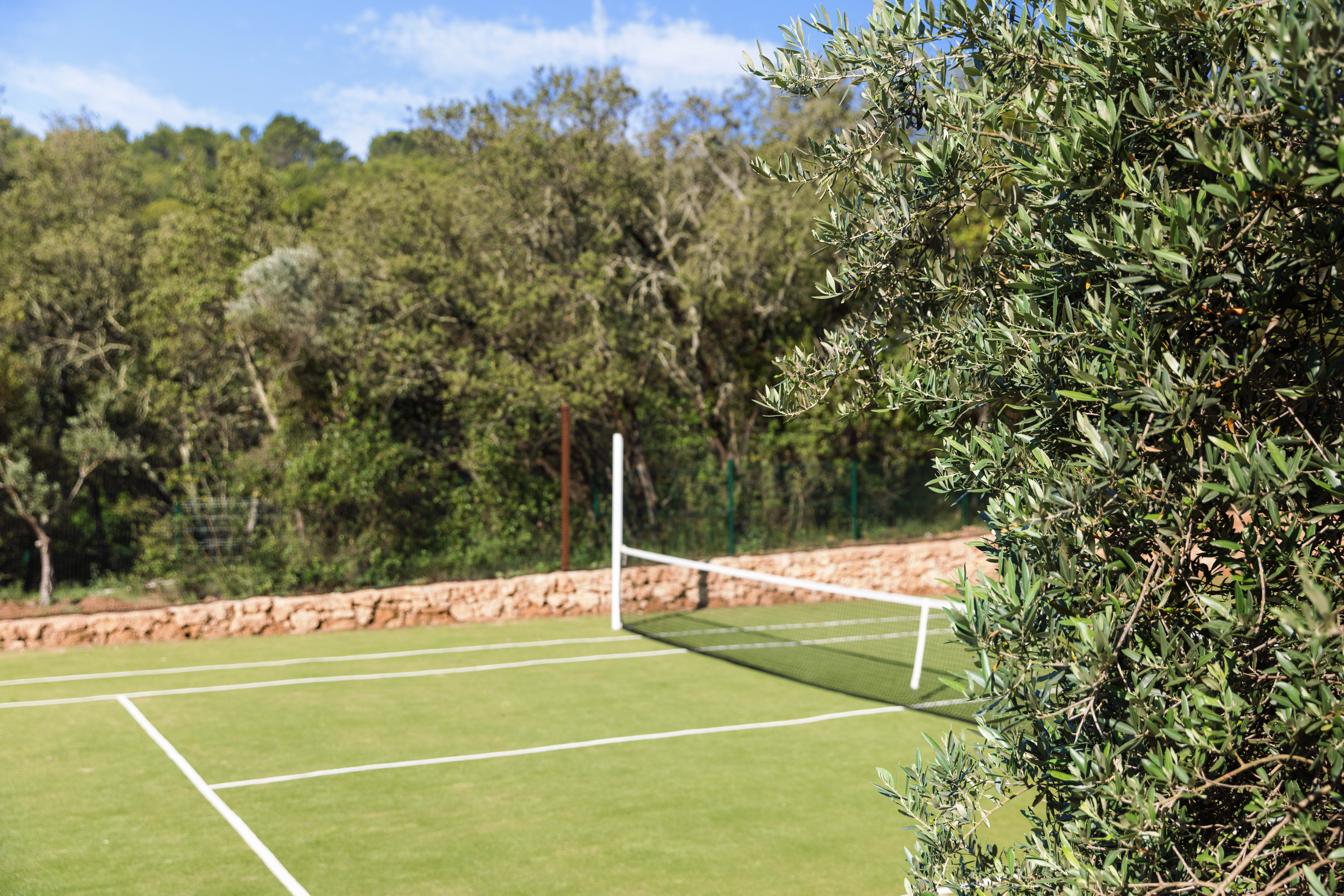 tennis1 hervefabre