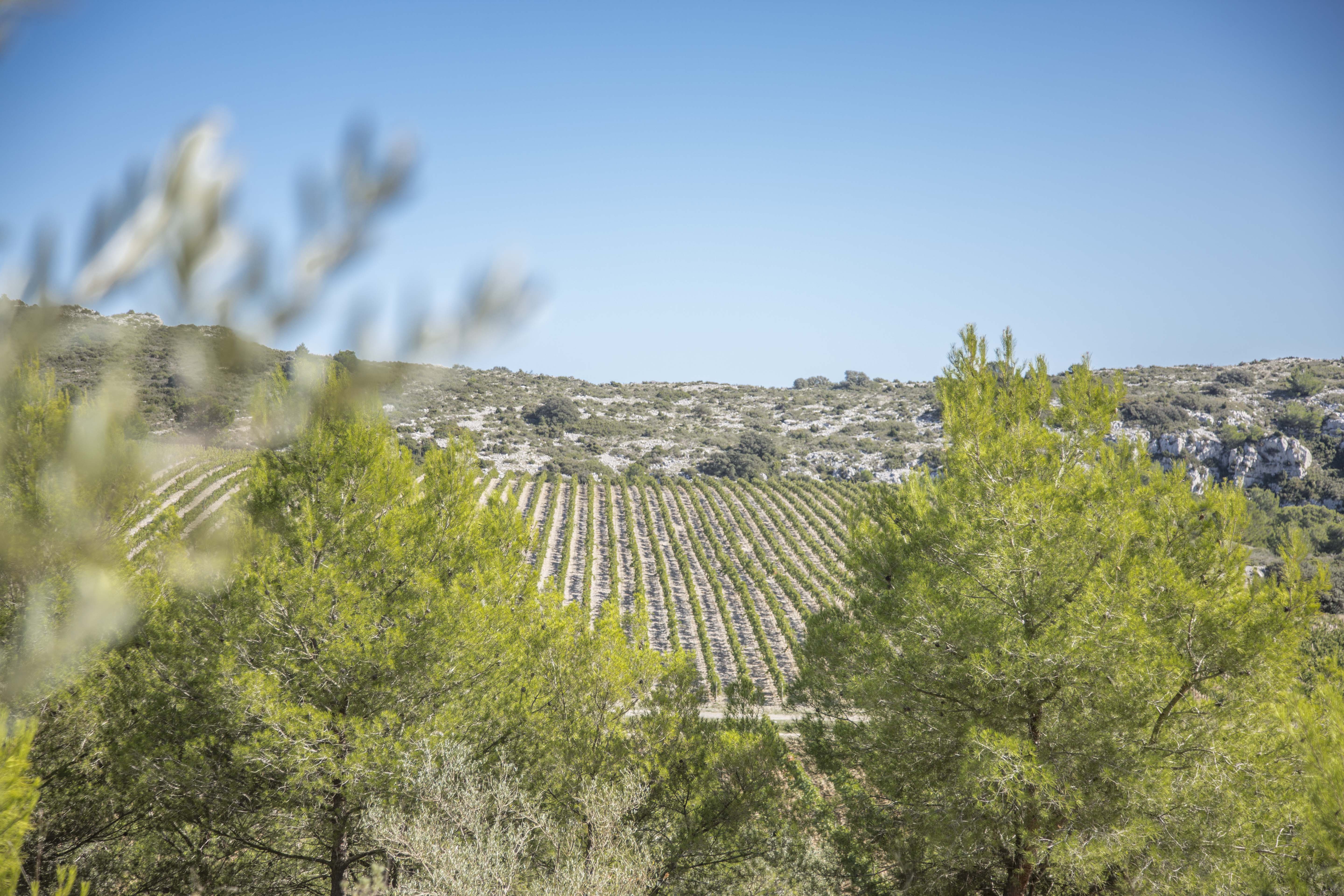 Occitanië (Languedoc-Roussillon en Midi-Pyrénées)