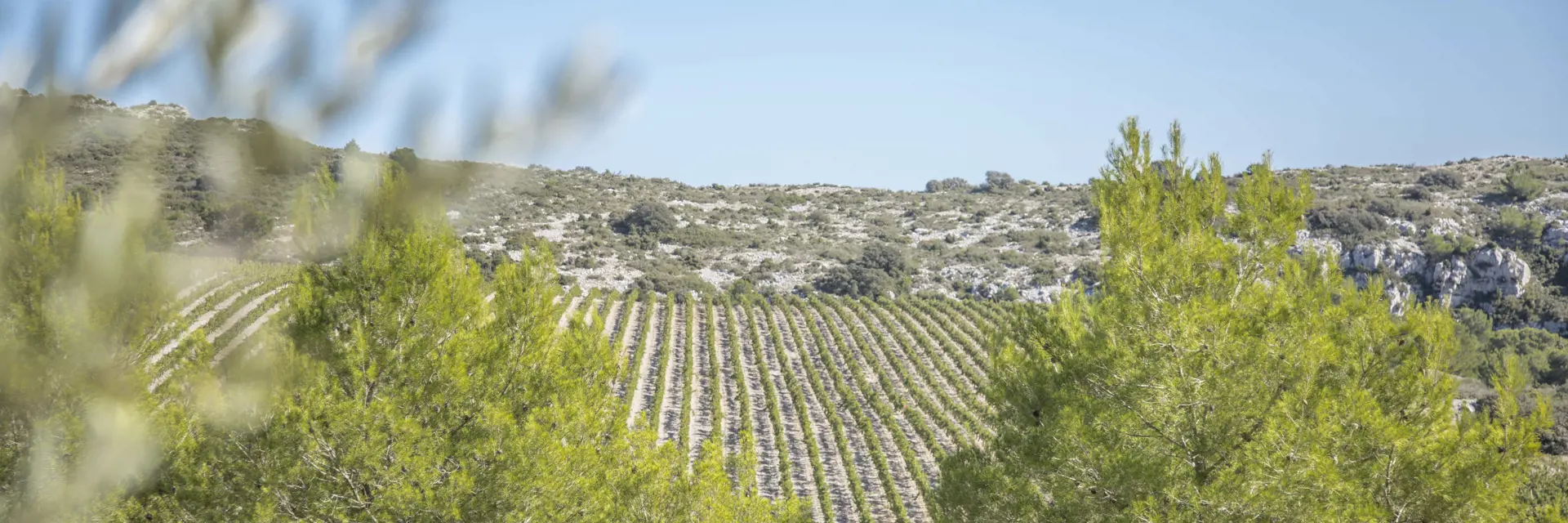 Occitanië (Languedoc-Roussillon en Midi-Pyrénées)