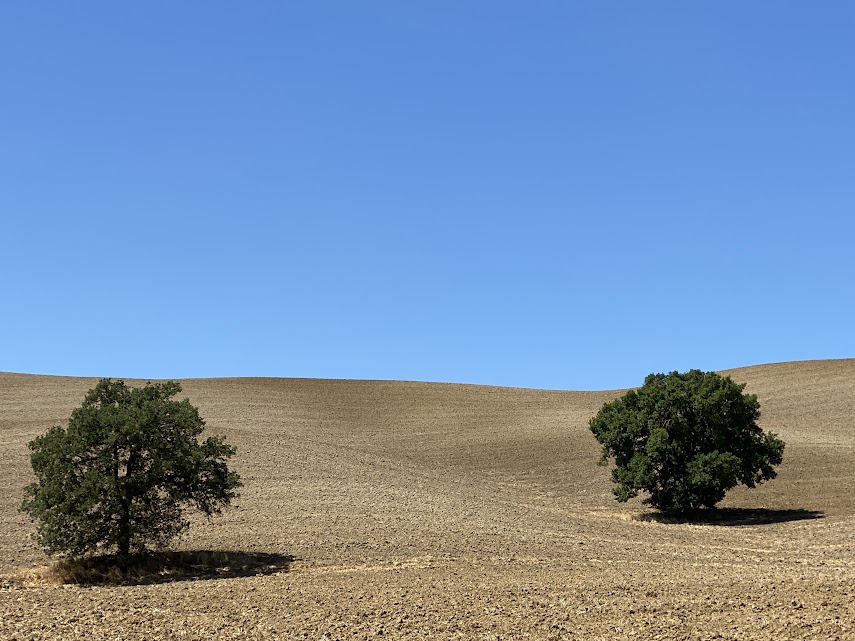 foto panoramica