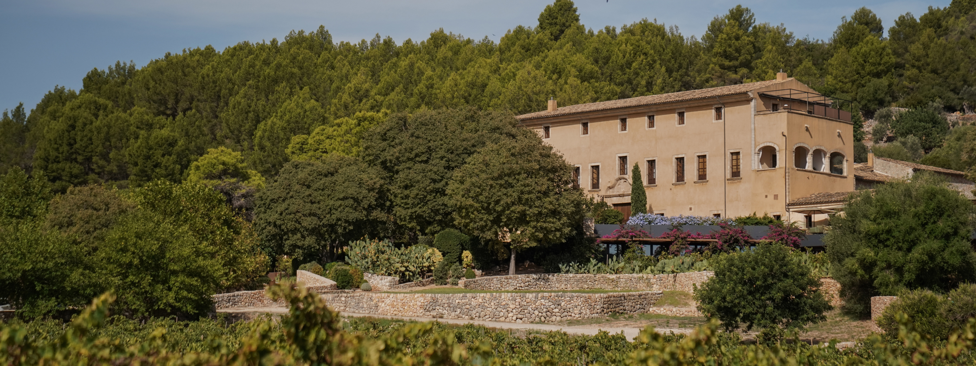 Designhotel Son Brull