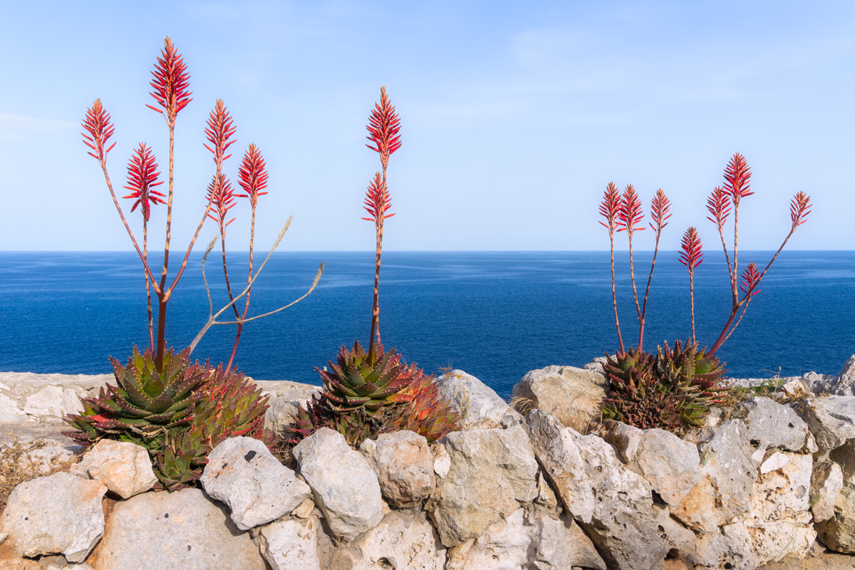 day 4 otranto leuca coast 18