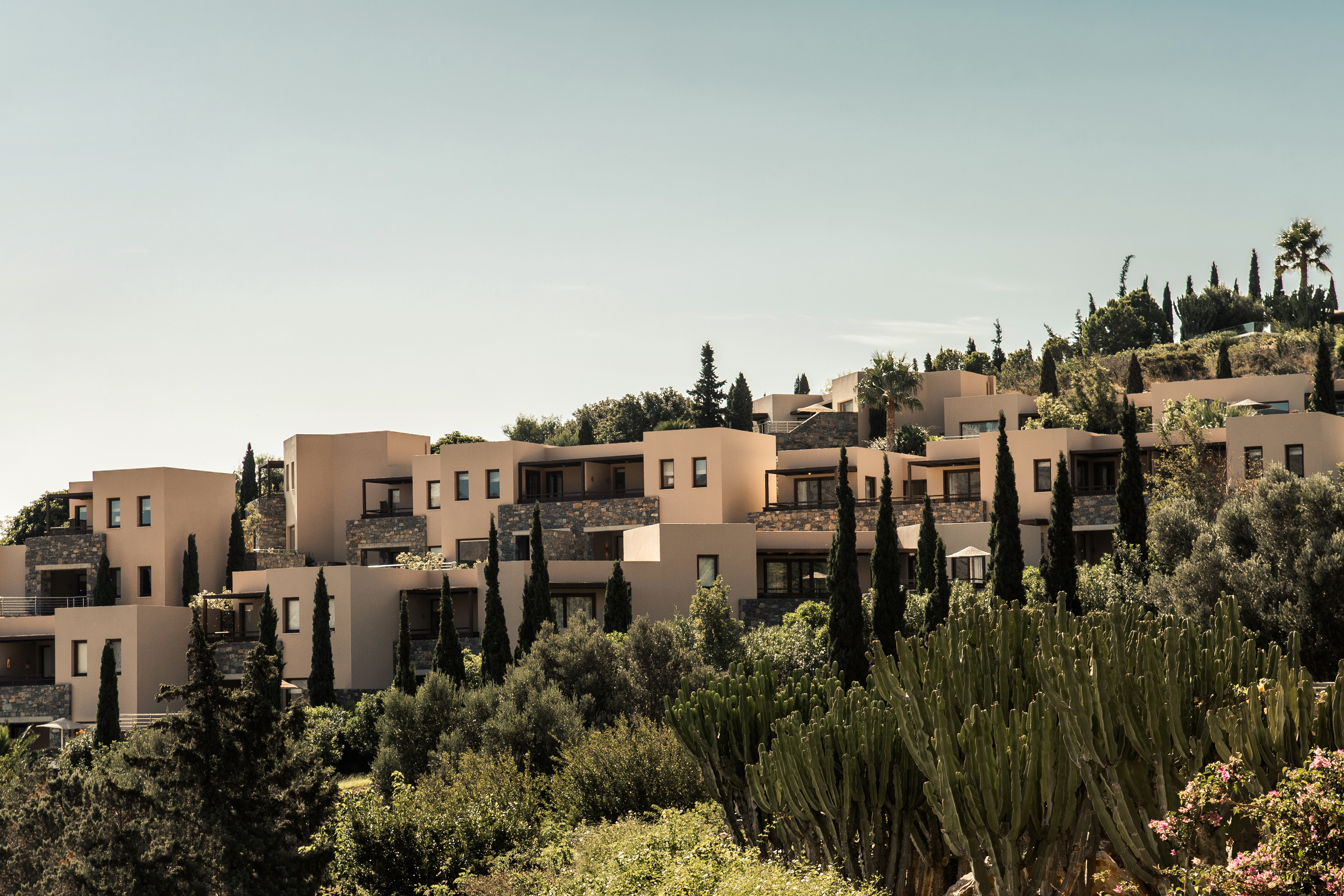 2 phaea vlue palace overview