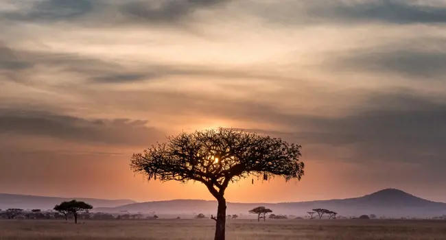 Avontuurlijk Tanzania