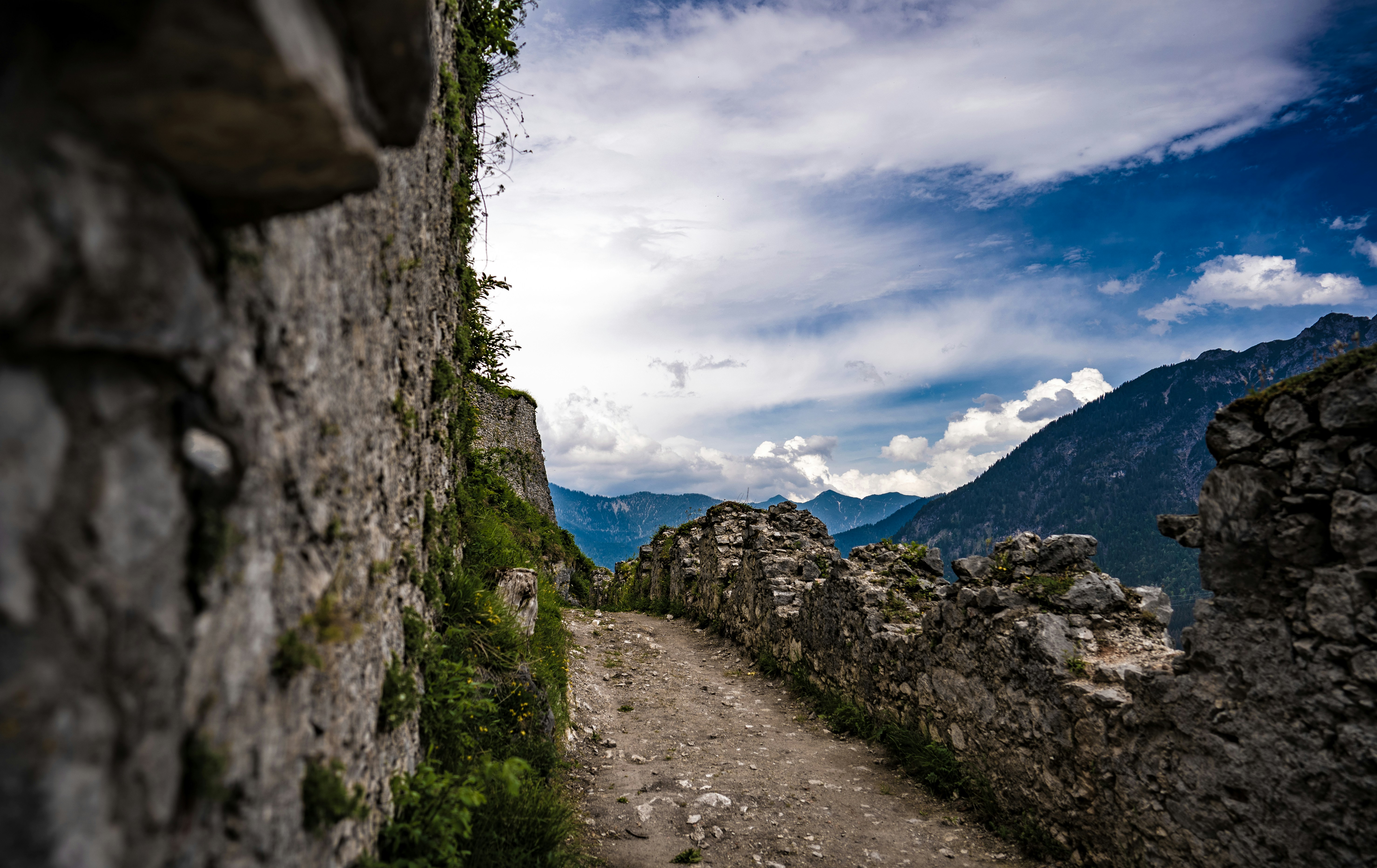 alin andersen jdy06hntigq unsplash