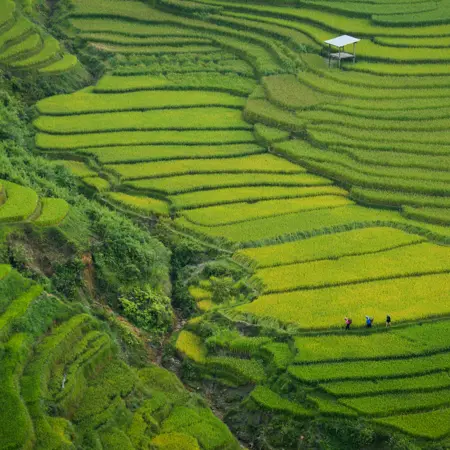 khau pha pass vietnam