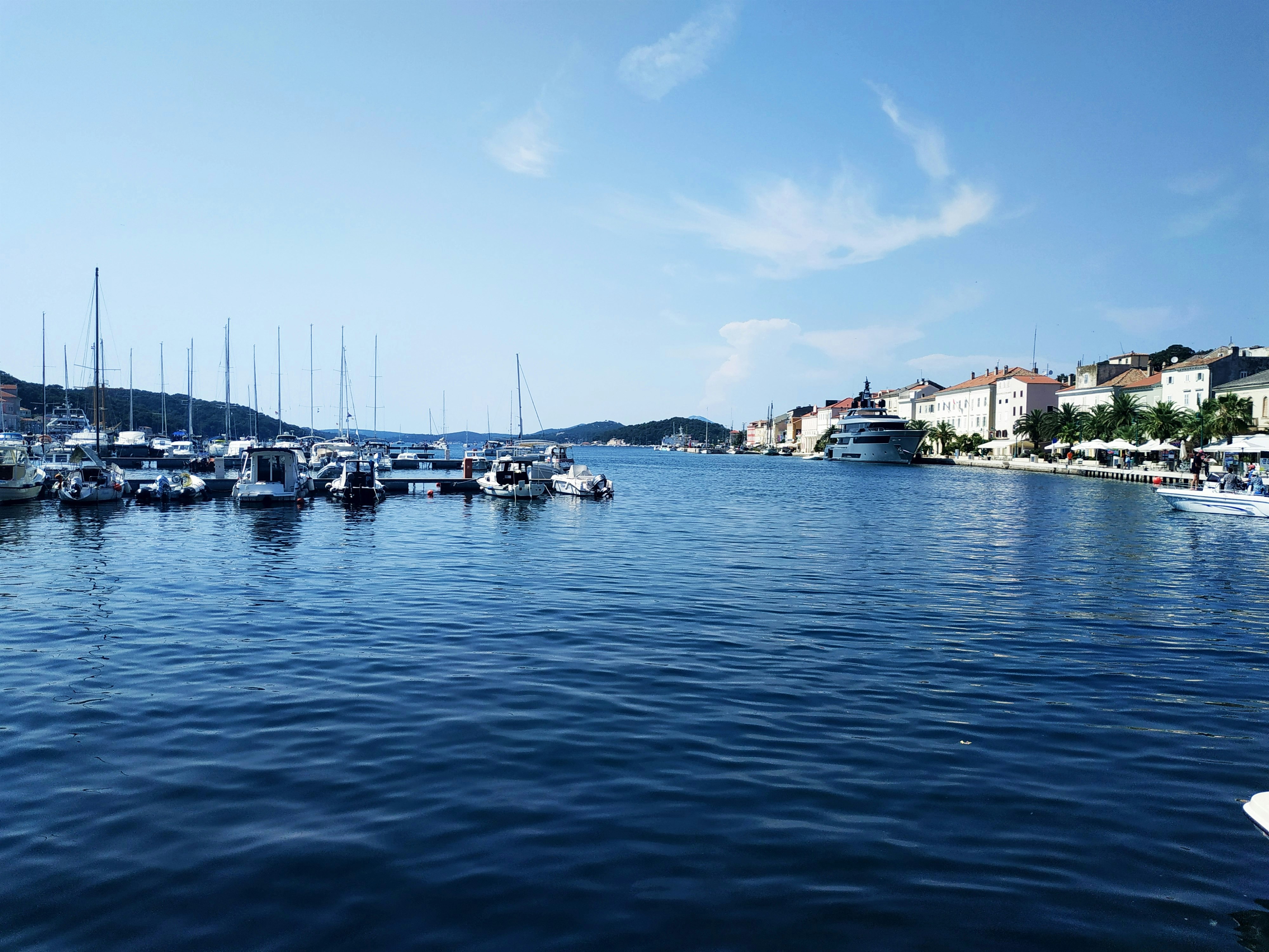 alexandre ours kkflvznwb3s unsplash