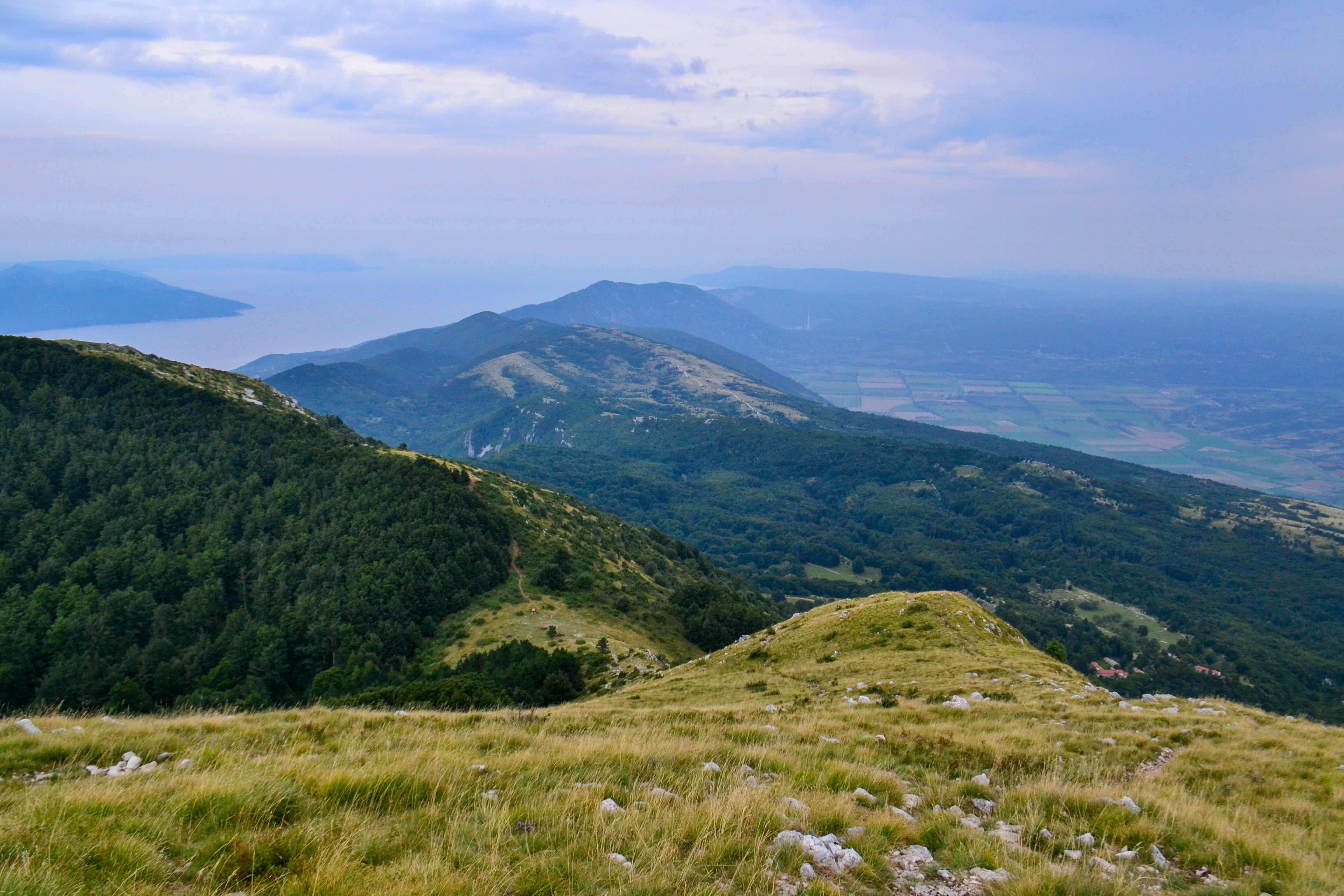 marino linic sip19f9bqzq unsplash