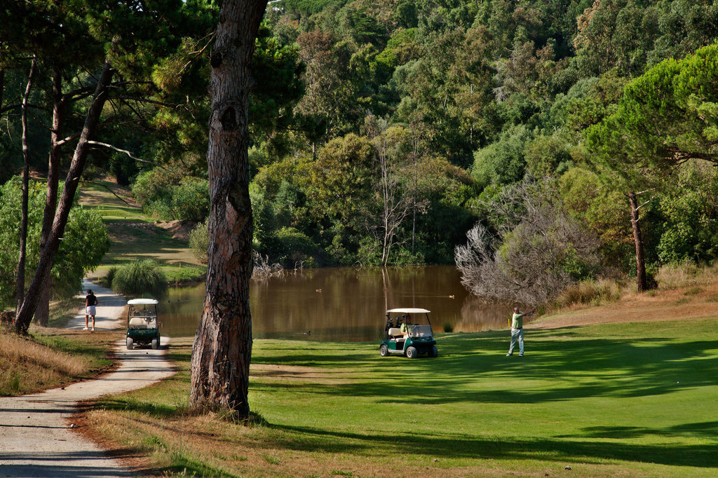 9 golf