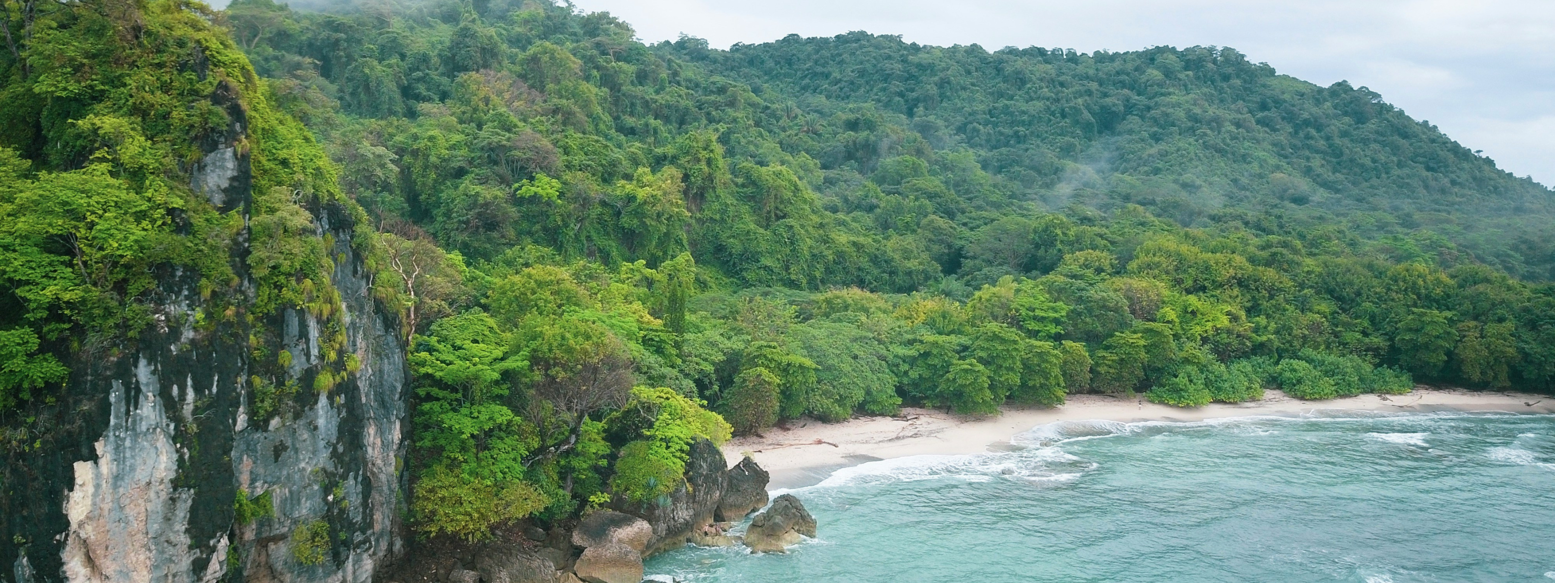 banners 2024 12 02t162947 867