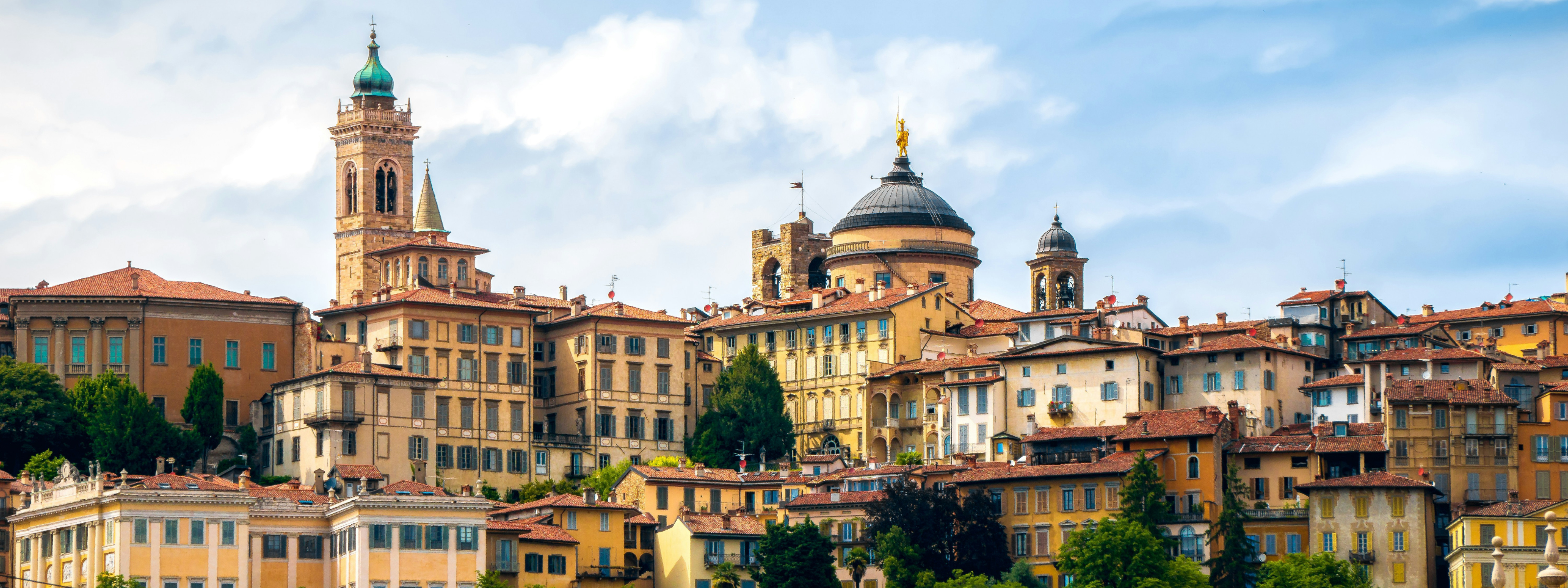 banners 2024 12 03t101018 642