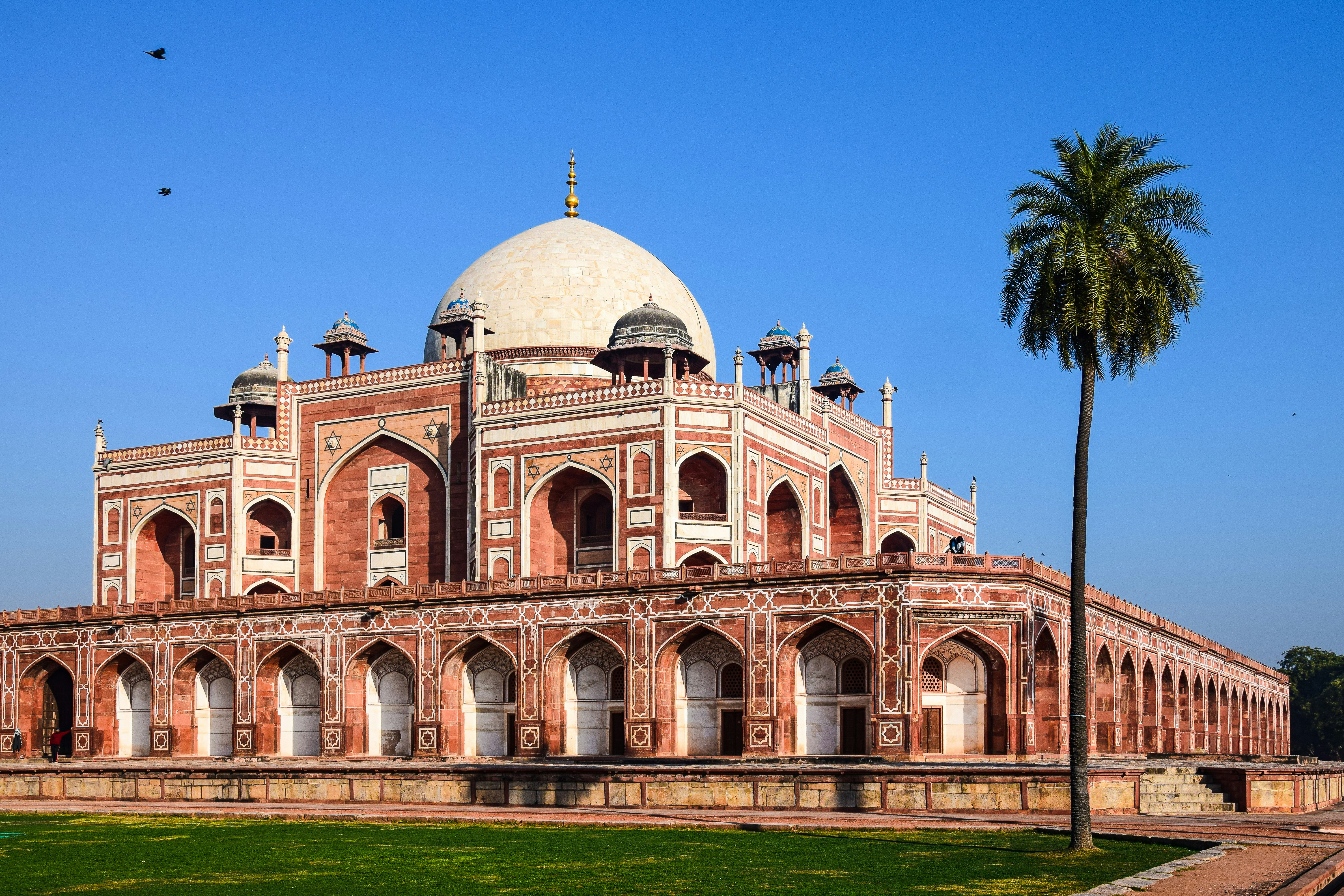 delhi