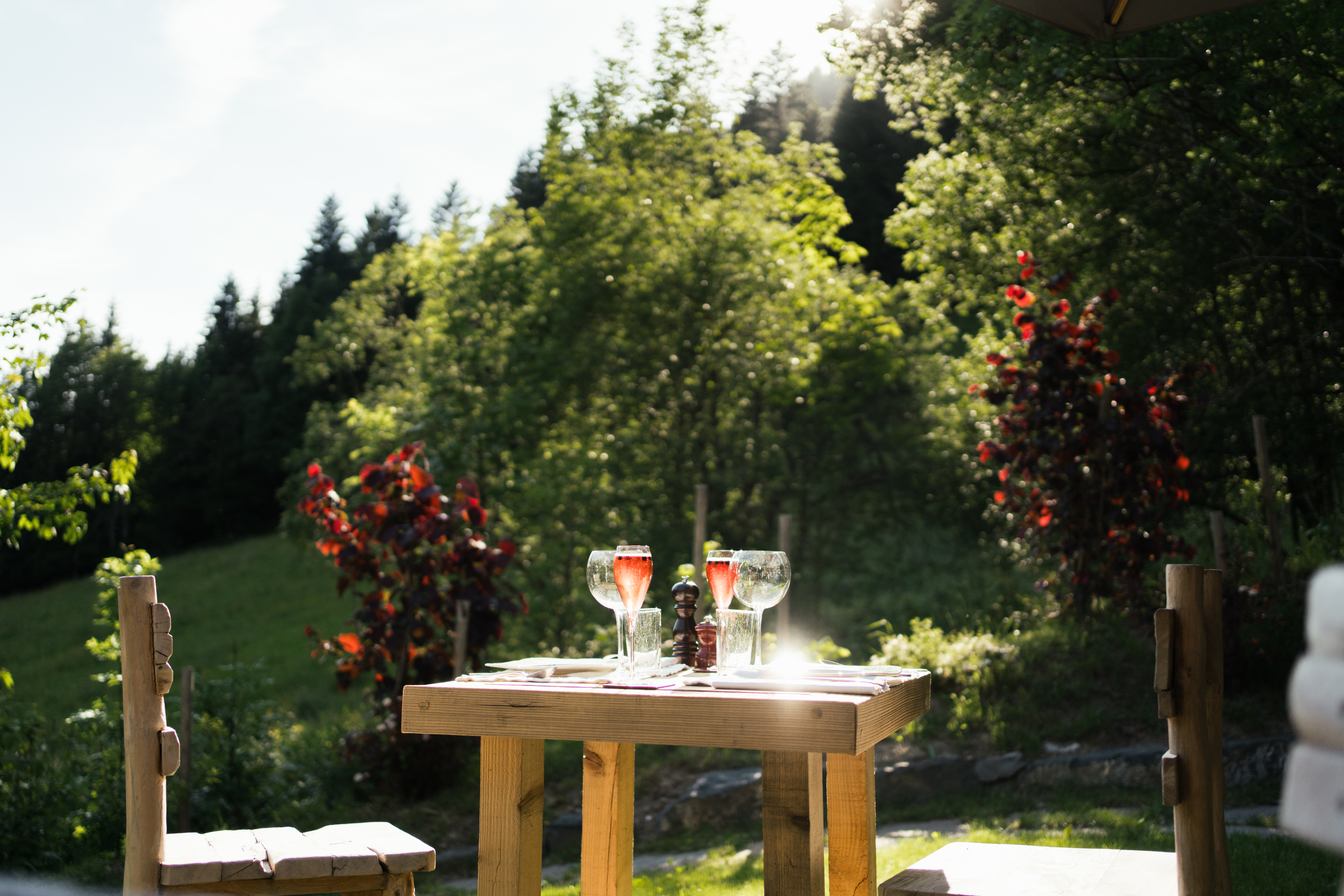 11 chalet 1864 ete 213