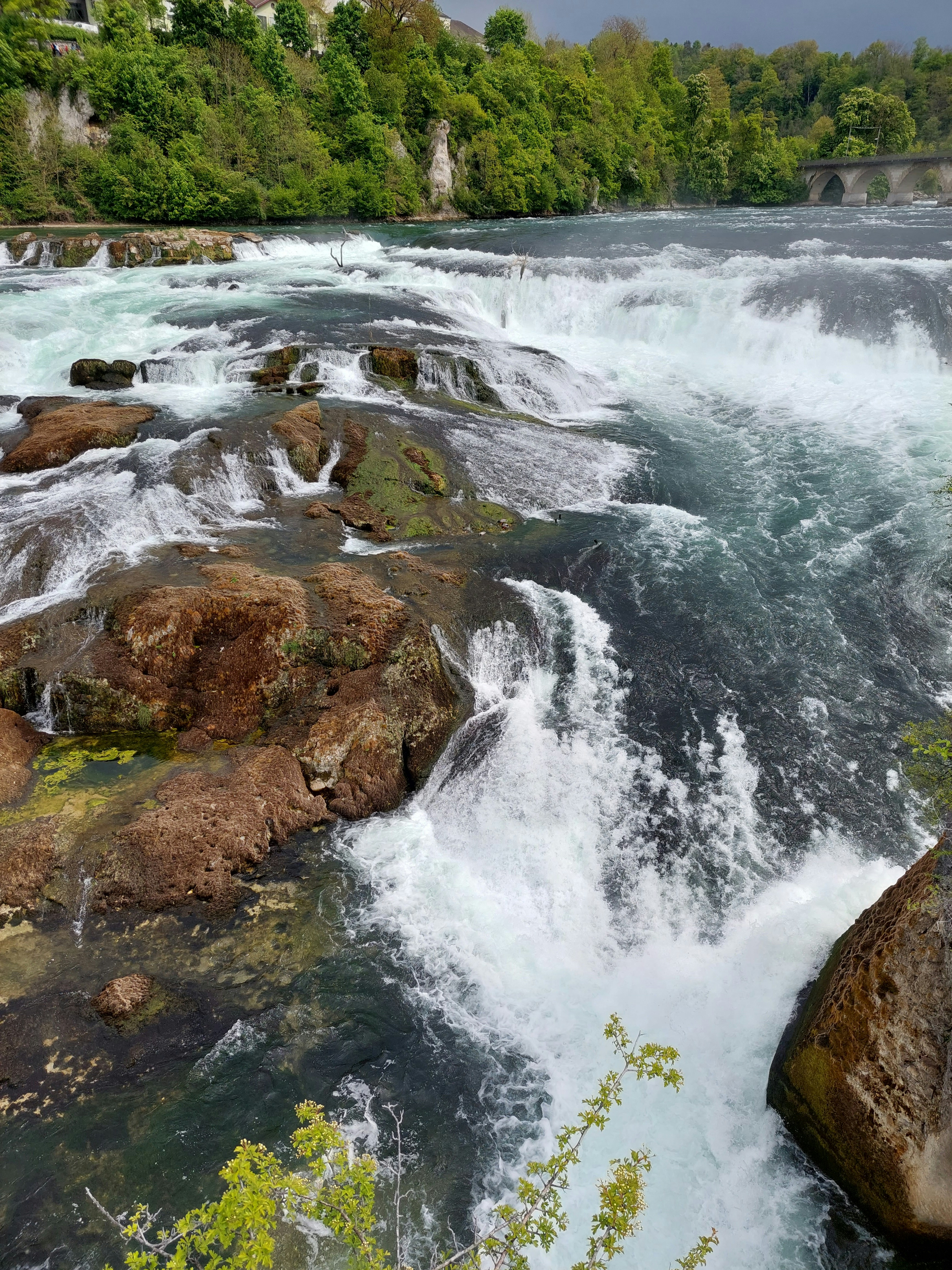 rheinfall laufen uhwiesen switzerland