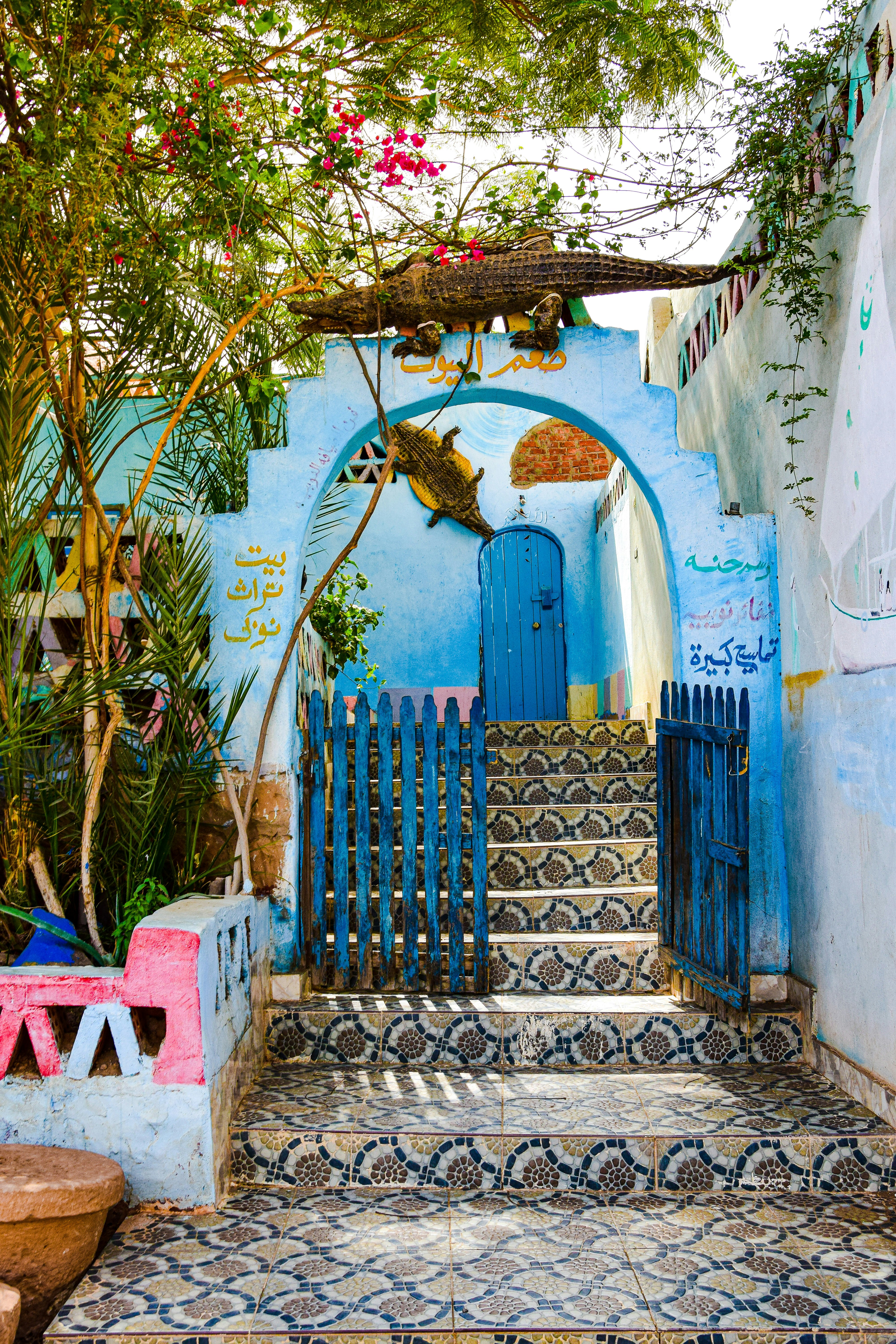 aswan white and color house