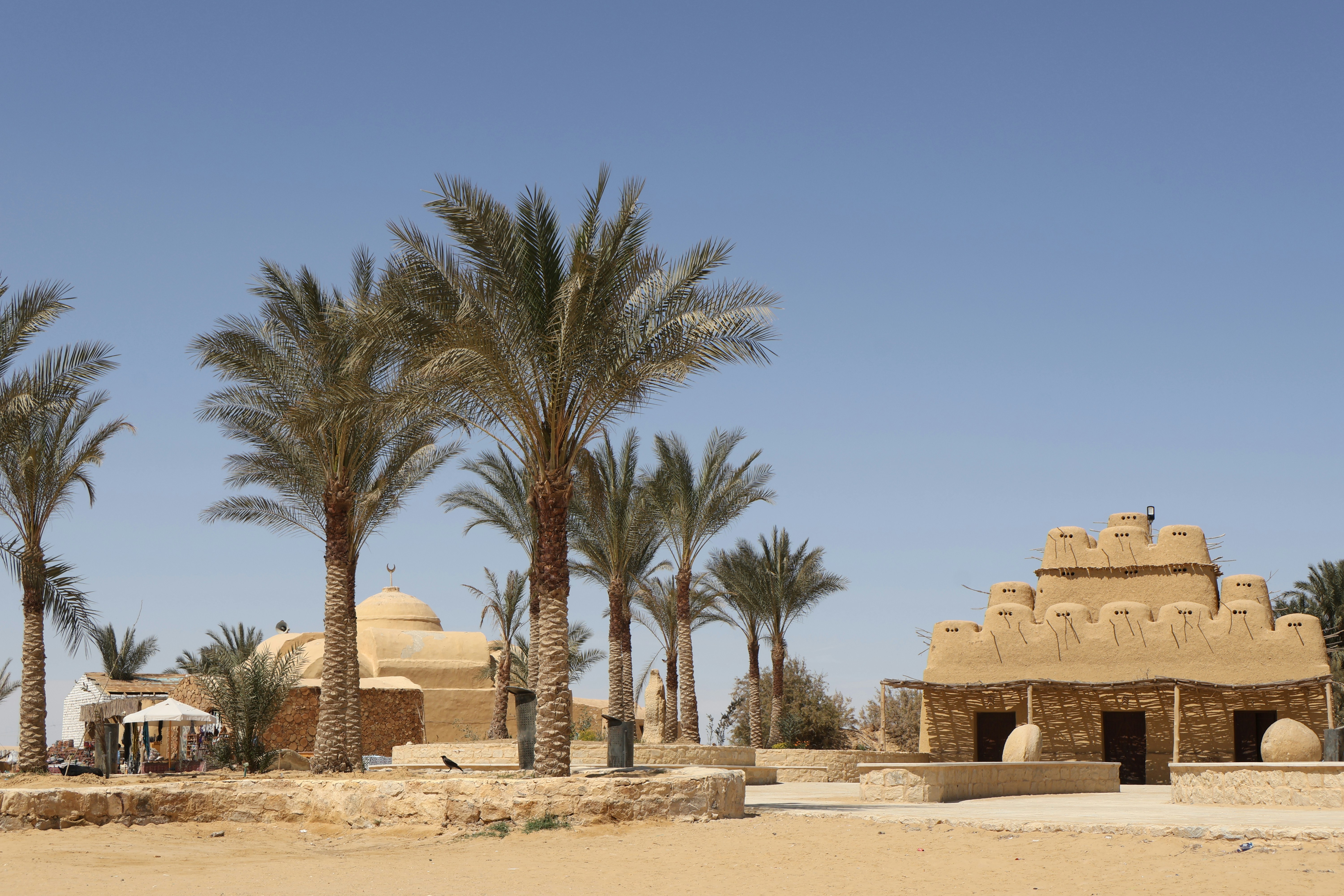 fayoum egypte