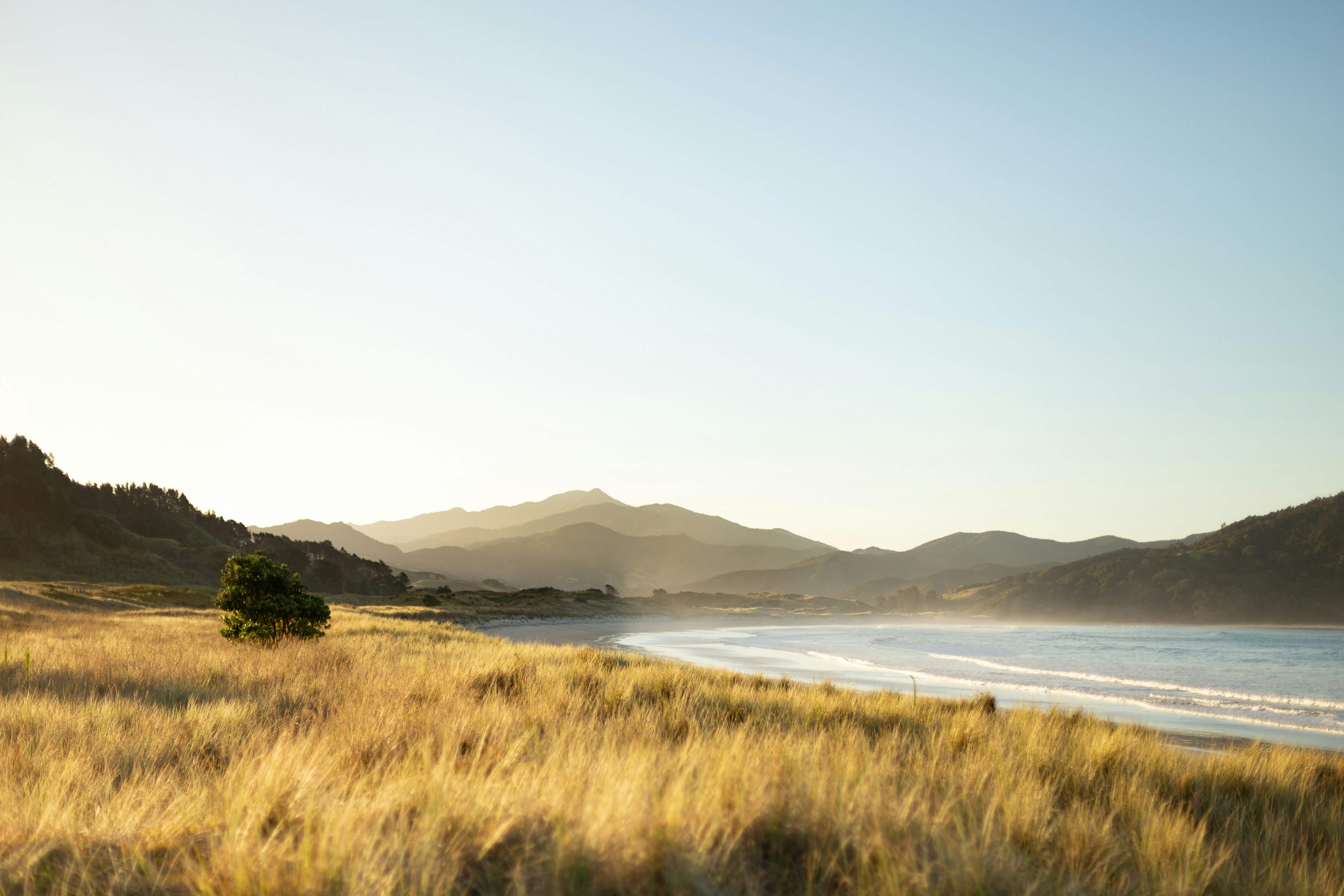 coromandel