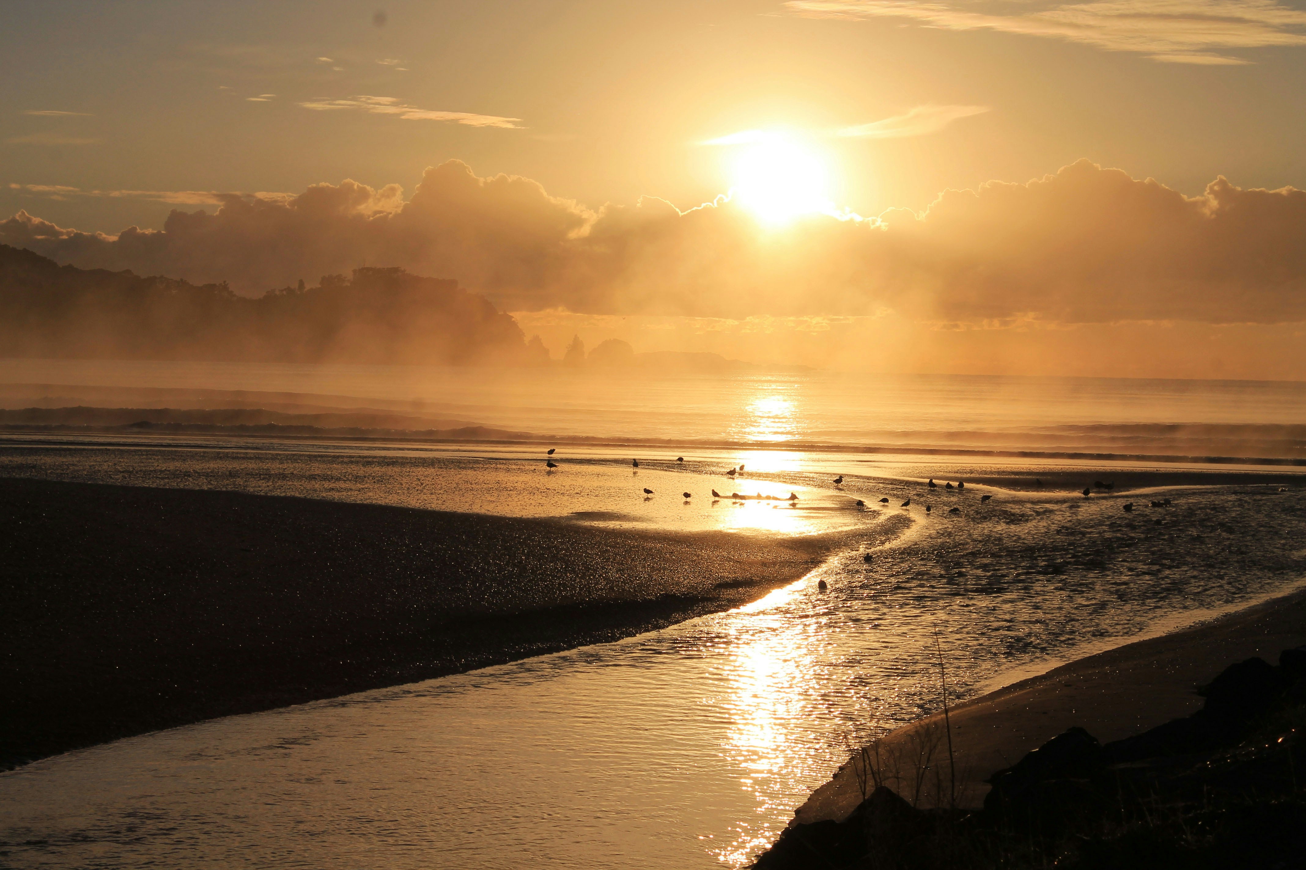 mercury bay new zeeland