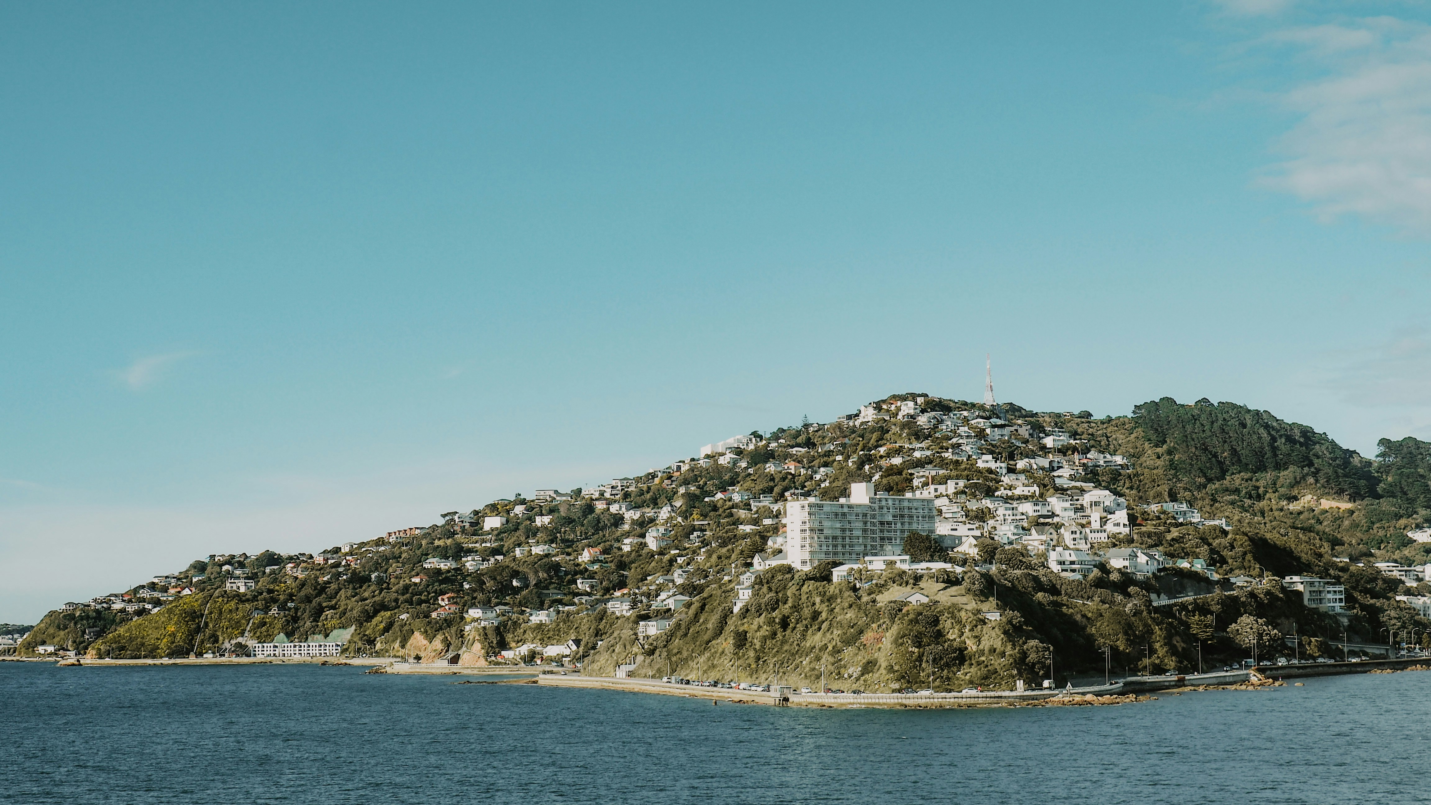 wellington