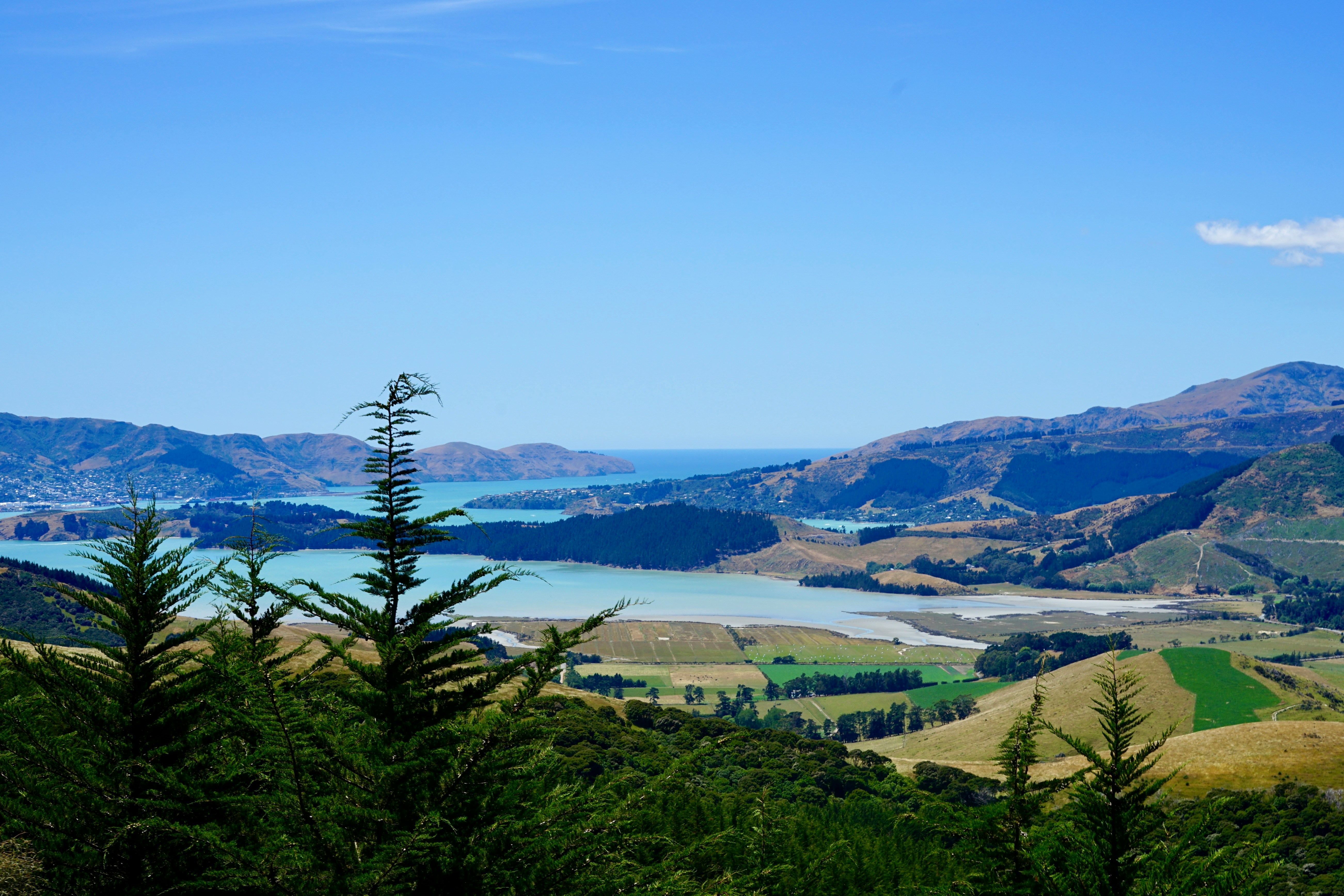 christchurch