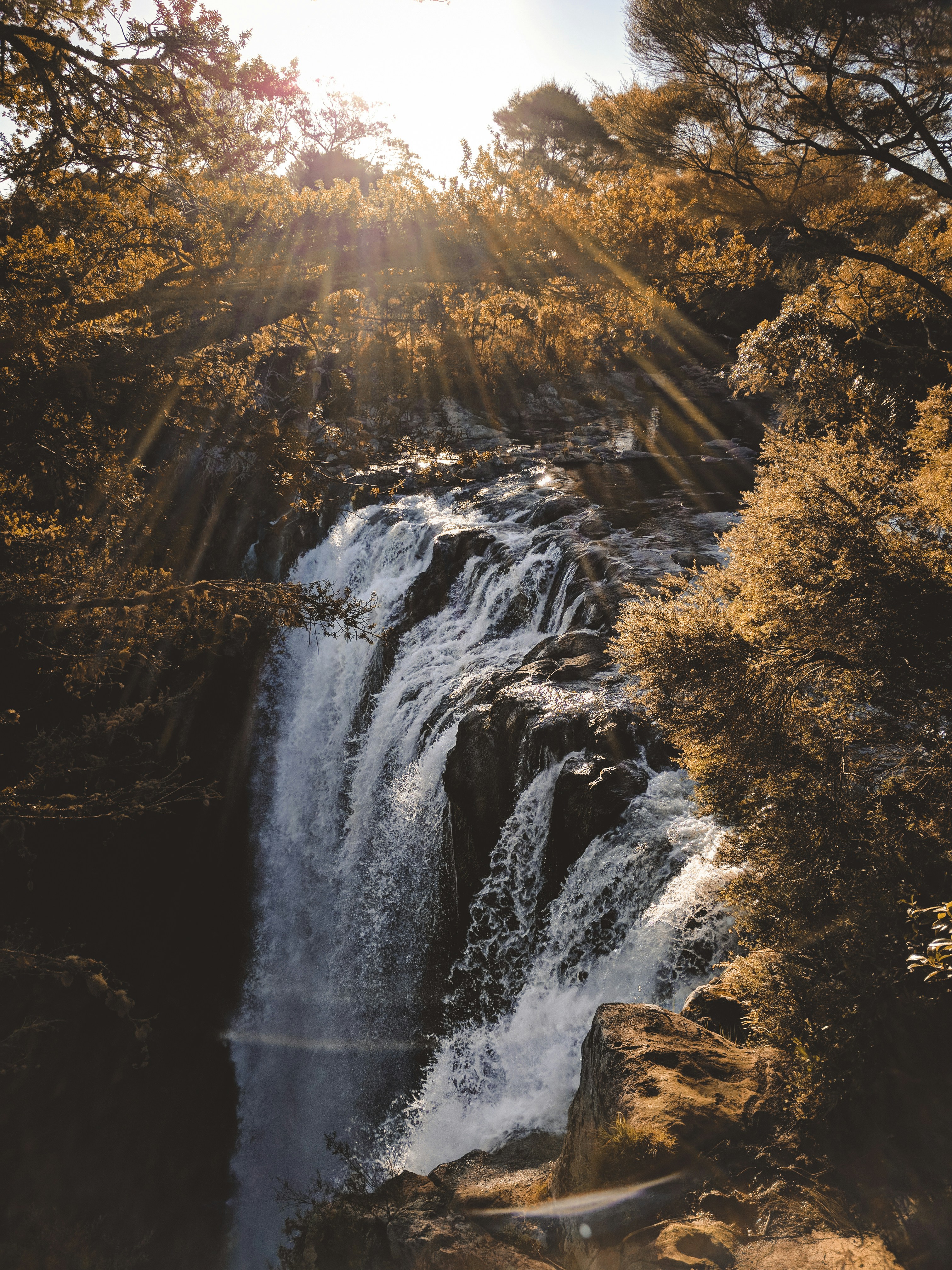 rainbow falls road kerikeri new zealand