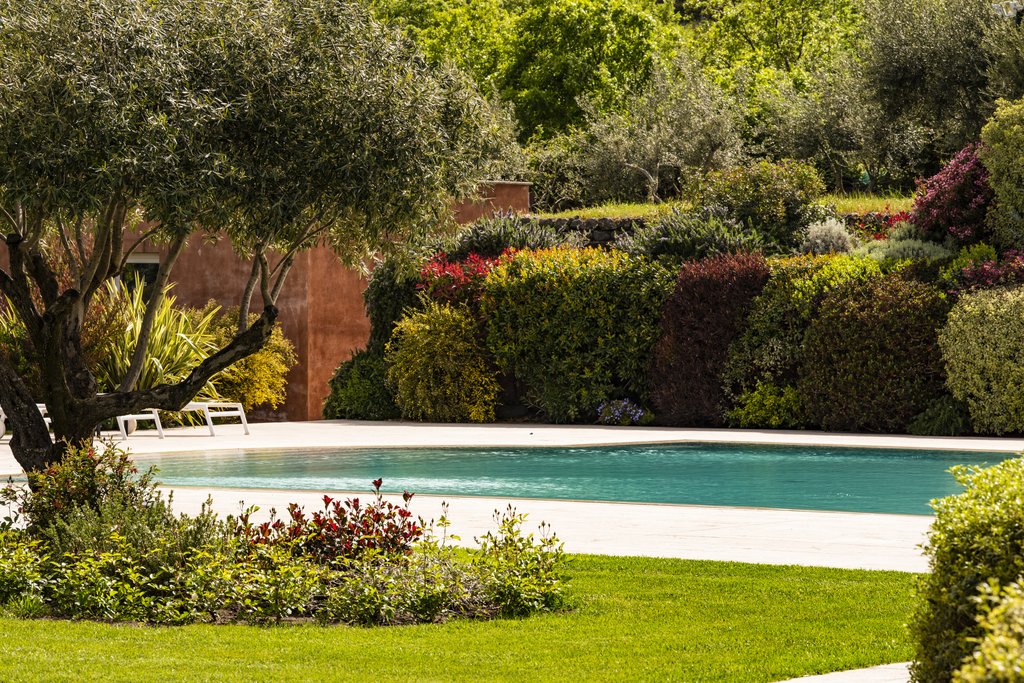 swimming pool summer