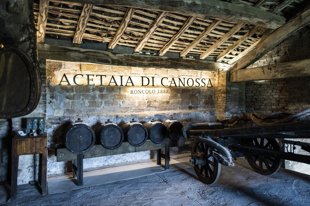 13 acetaia roncolo